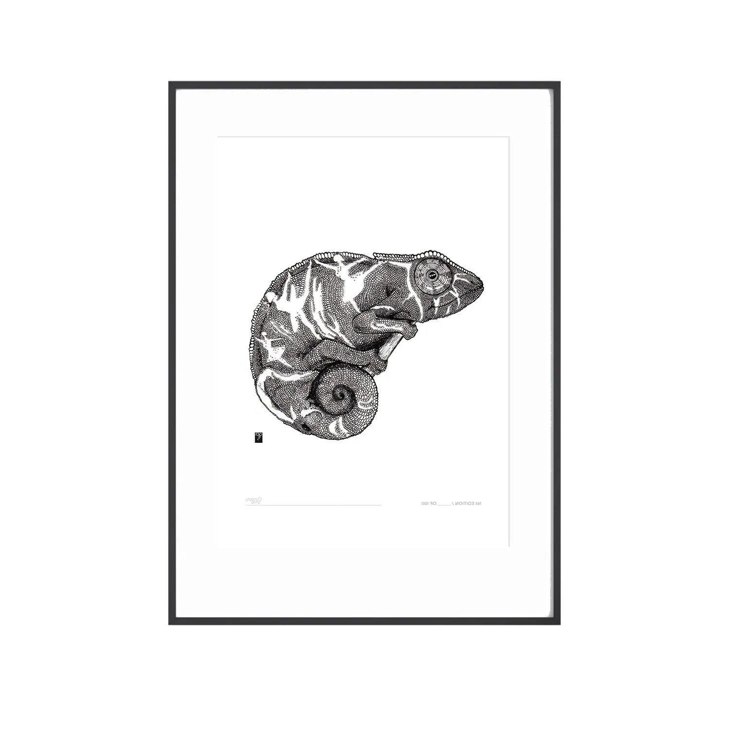 Curious Creatures Curious Chameleon A3 Art Print - Black