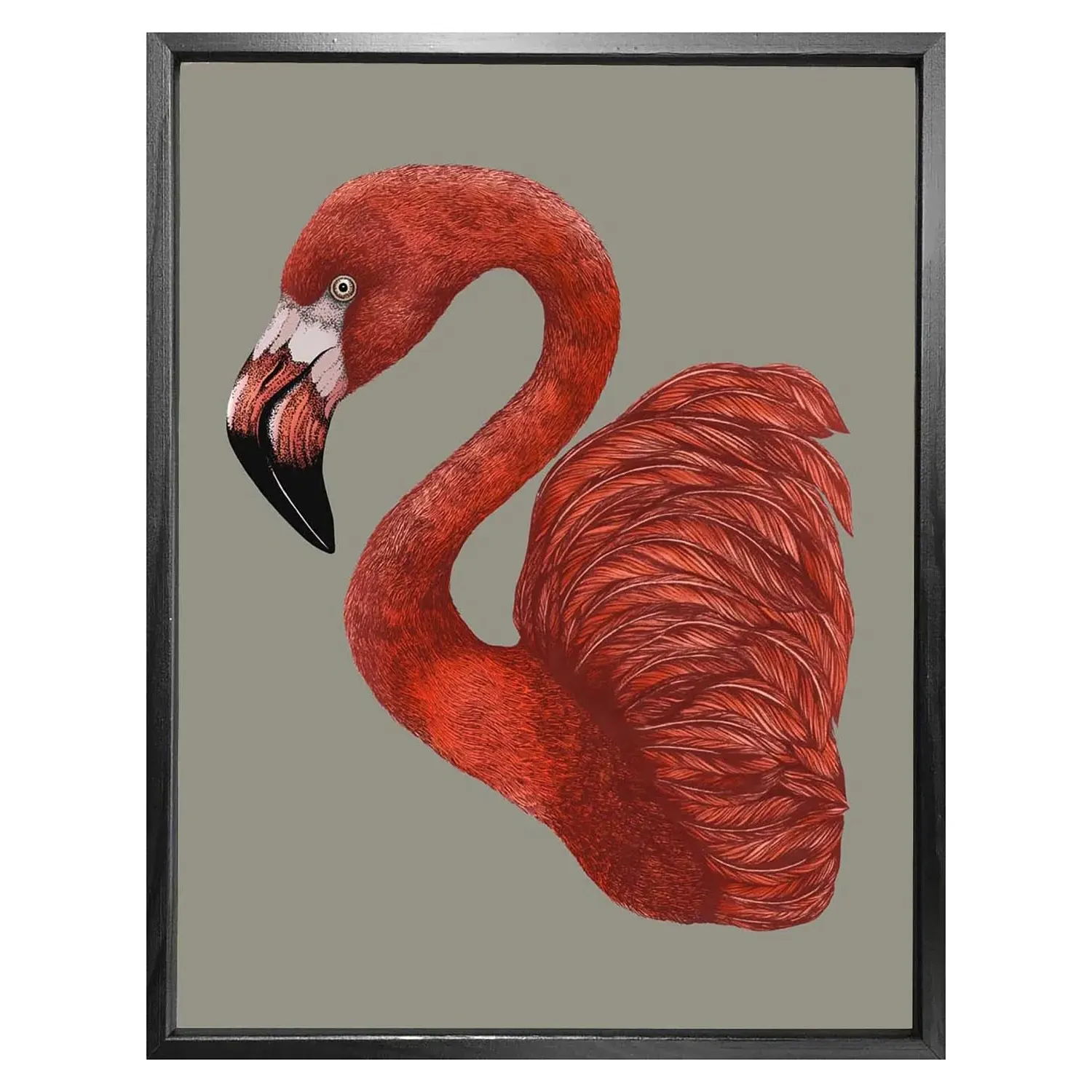 Antique Flamingo I A4 Fine Art Print image