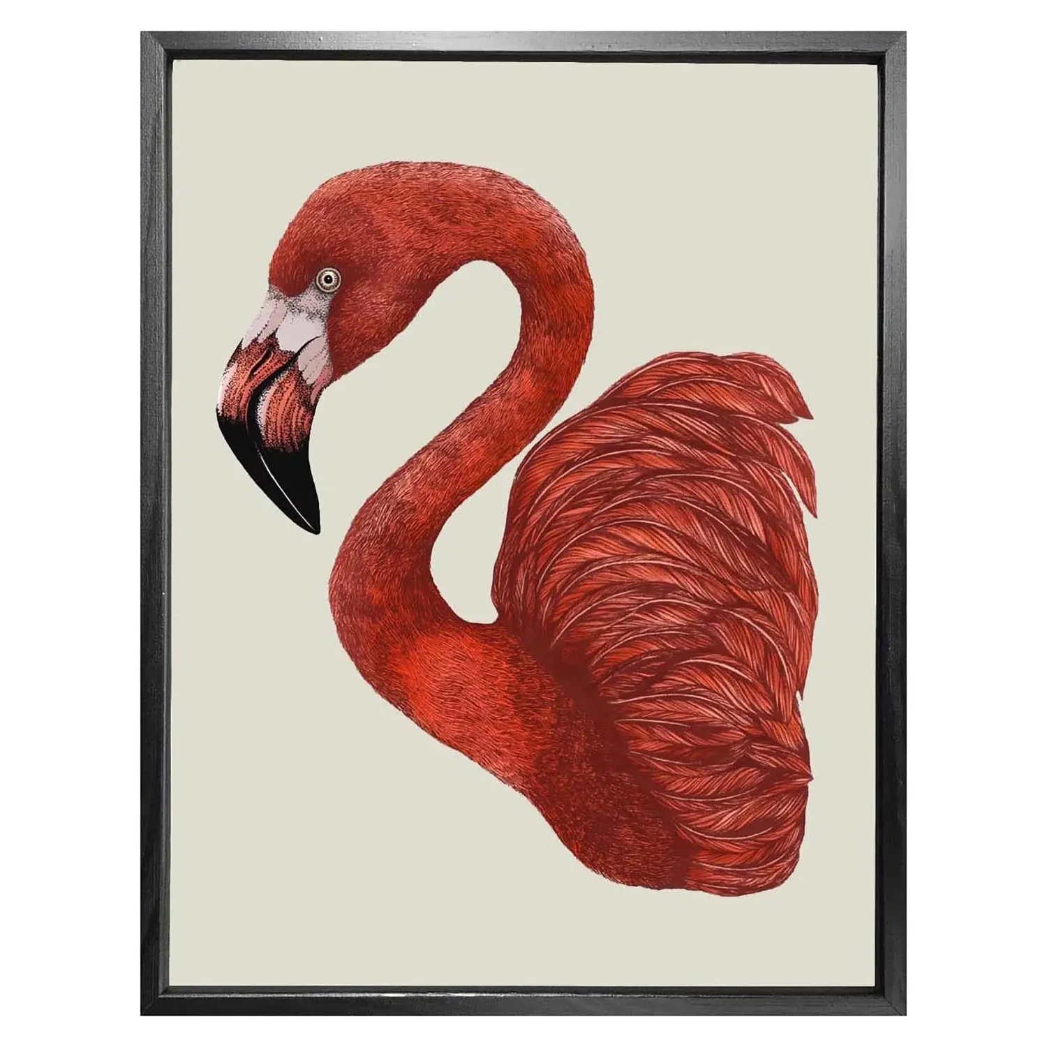 Antique Flamingo II A4 Fine Art Print