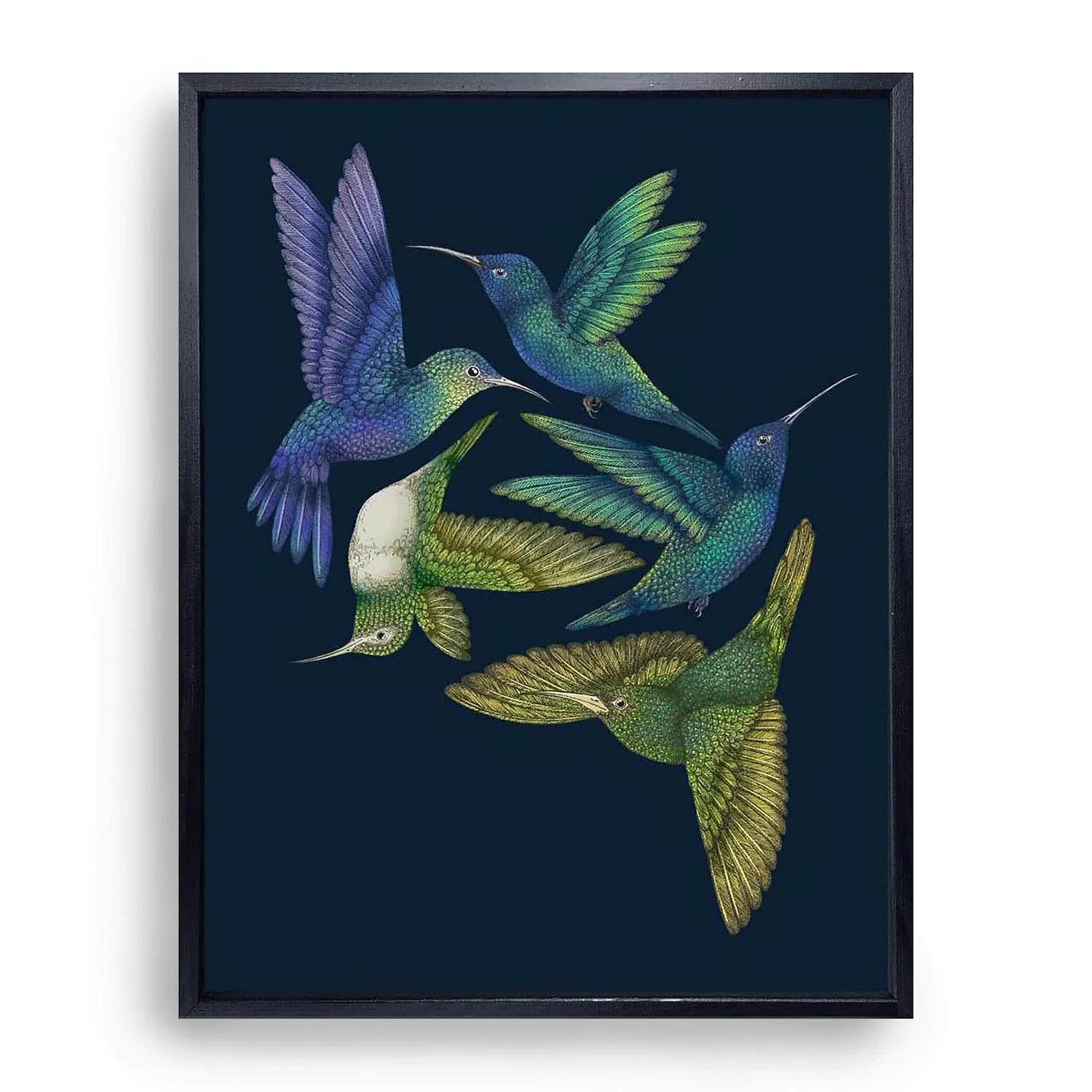 Antique Hummingbirds I Fine Art Print - Blue image