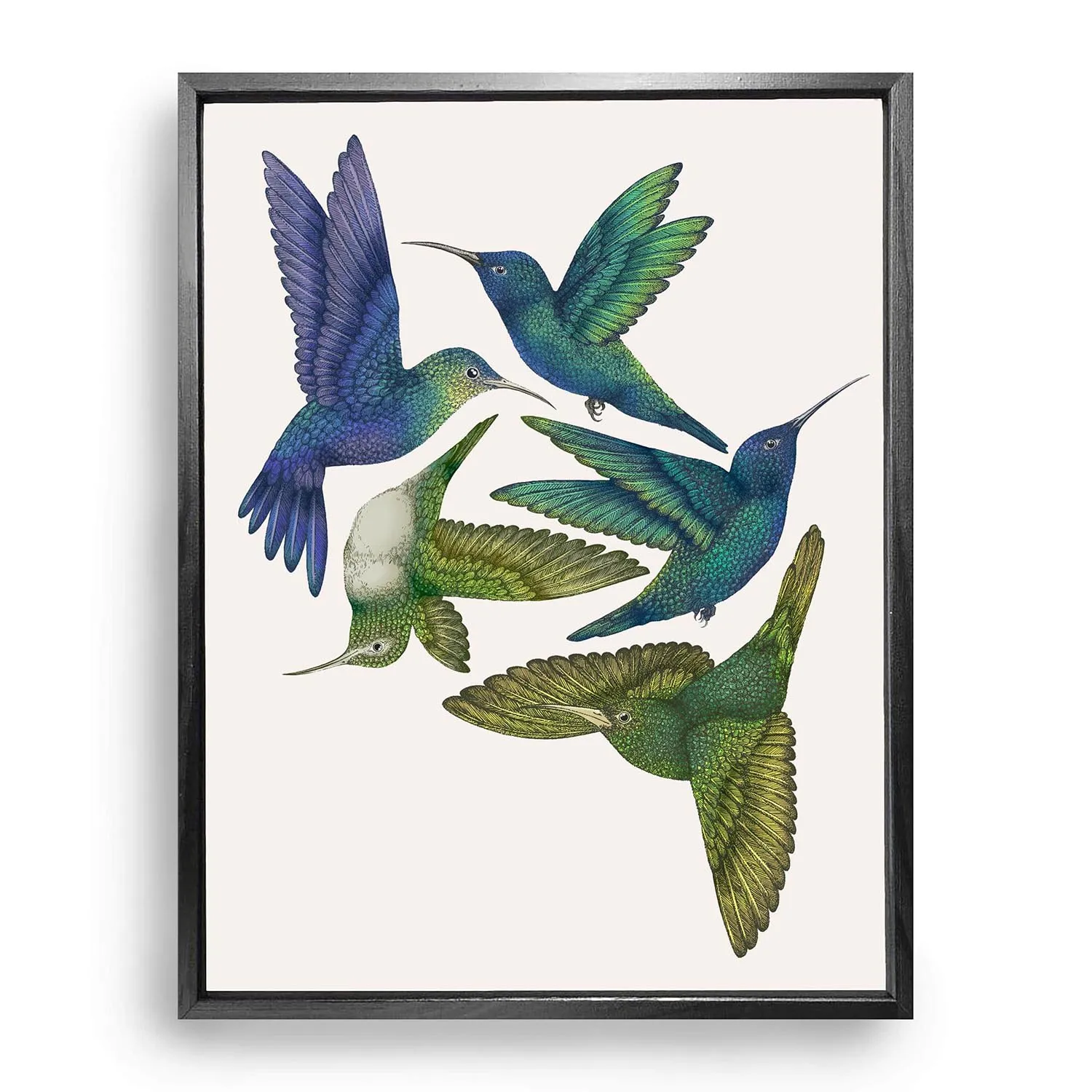 Antique Hummingbirds I Fine Art Print - Green