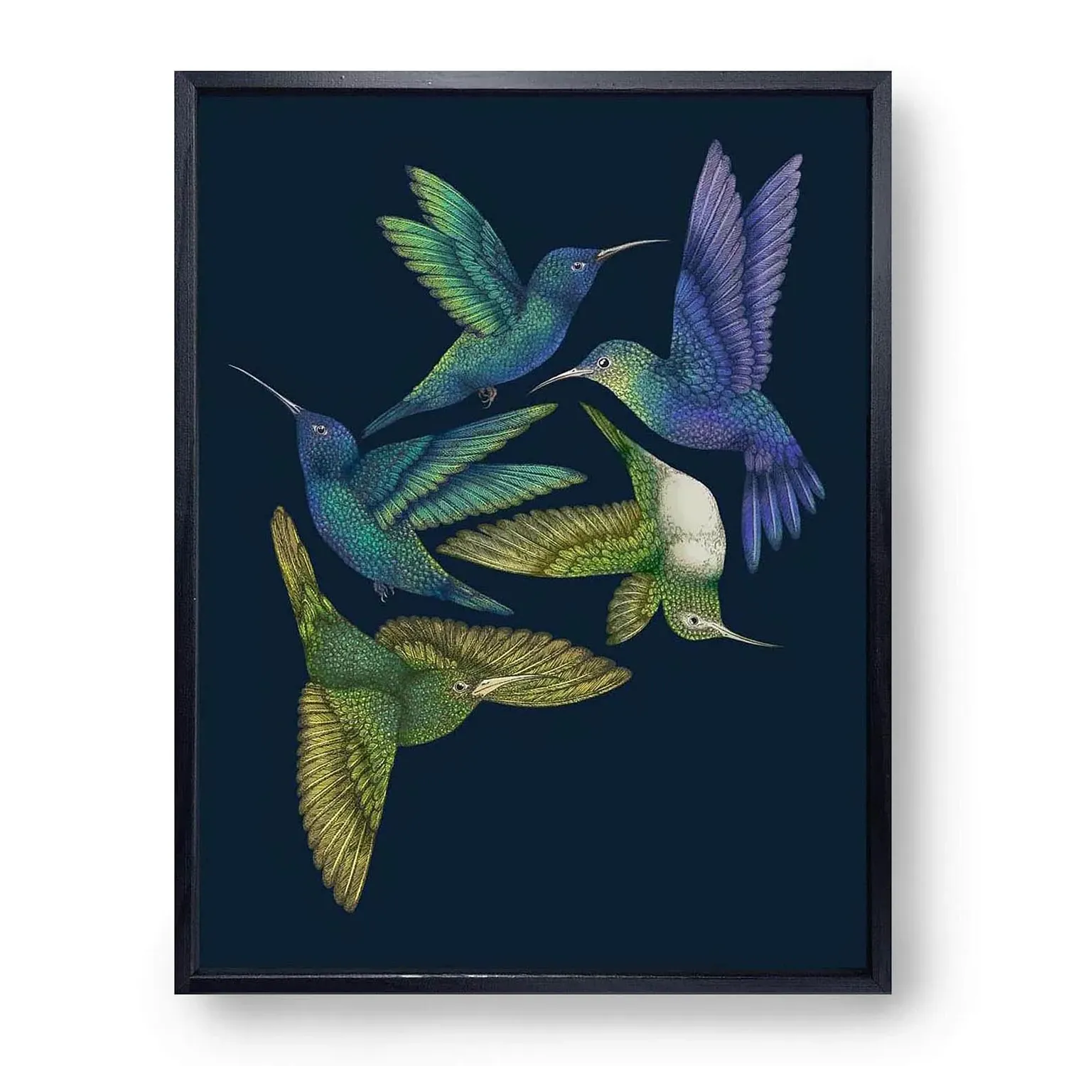 Antique Hummingbirds I Fine Art Print L - Blue image