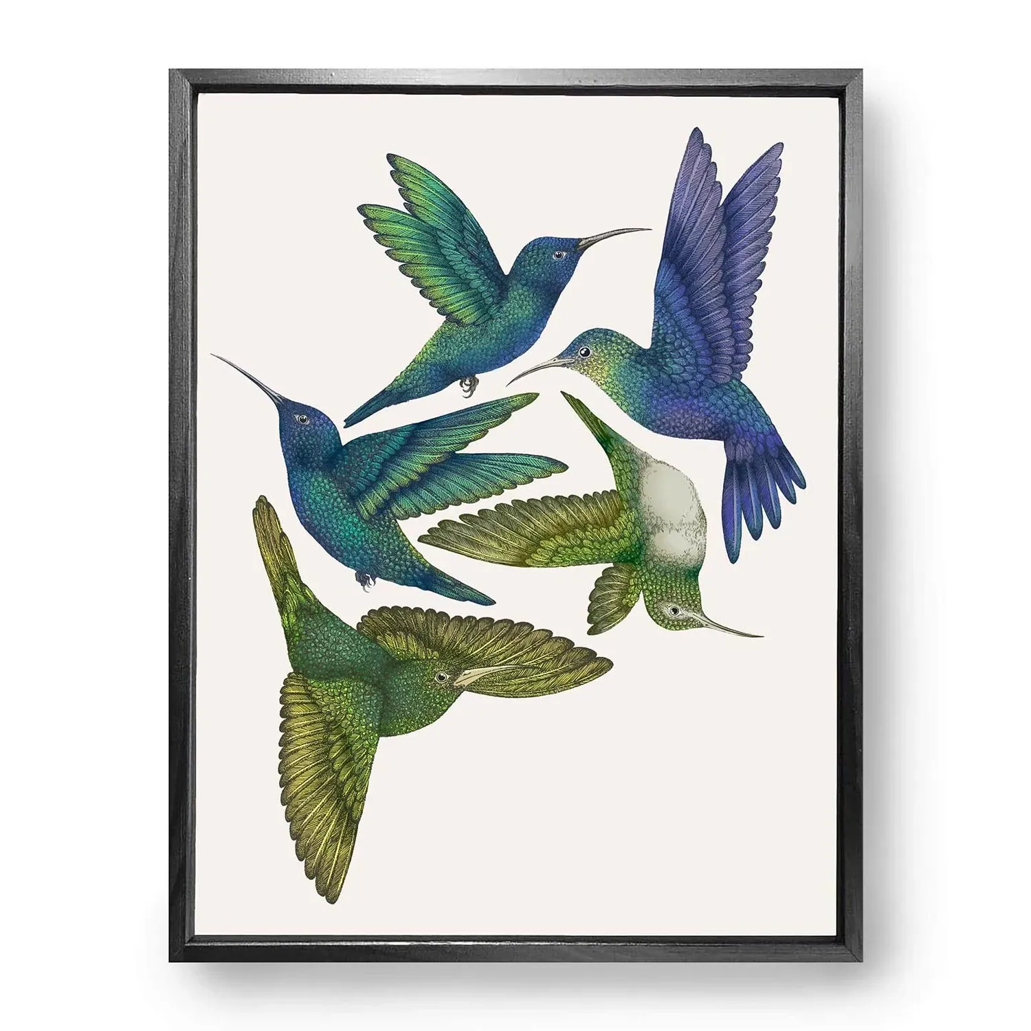 Antique Hummingbirds I Fine Art Print L - Green