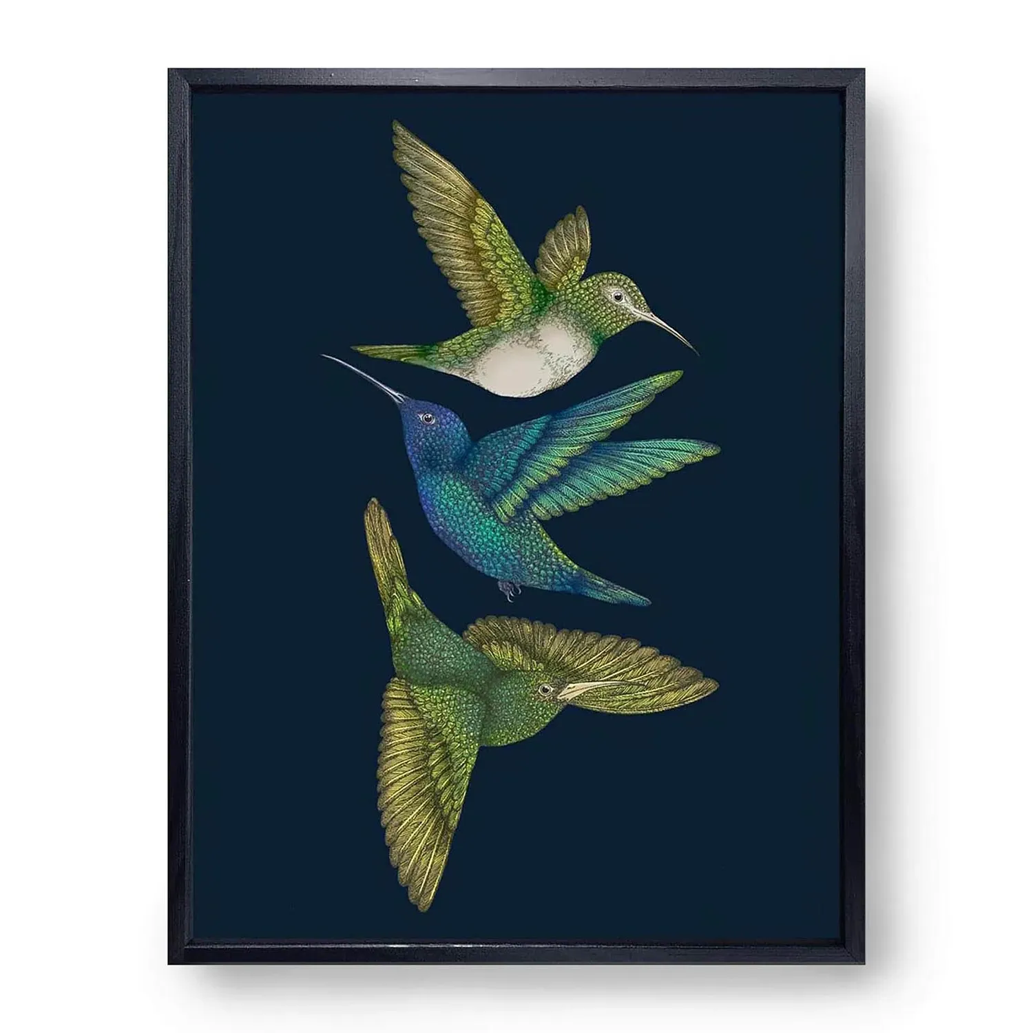 Antique Hummingbirds III Fine Art Print M - Blue