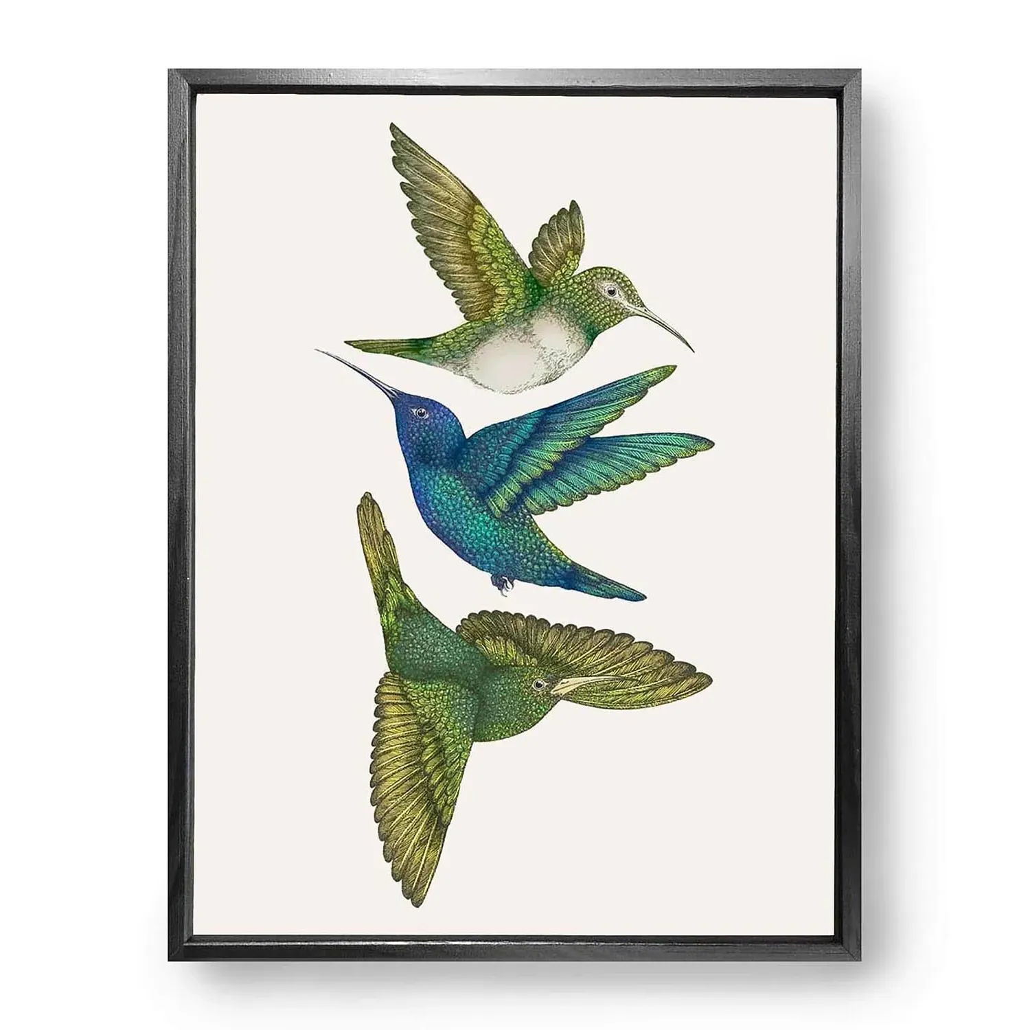 Antique Hummingbirds III Fine Art Print M - White