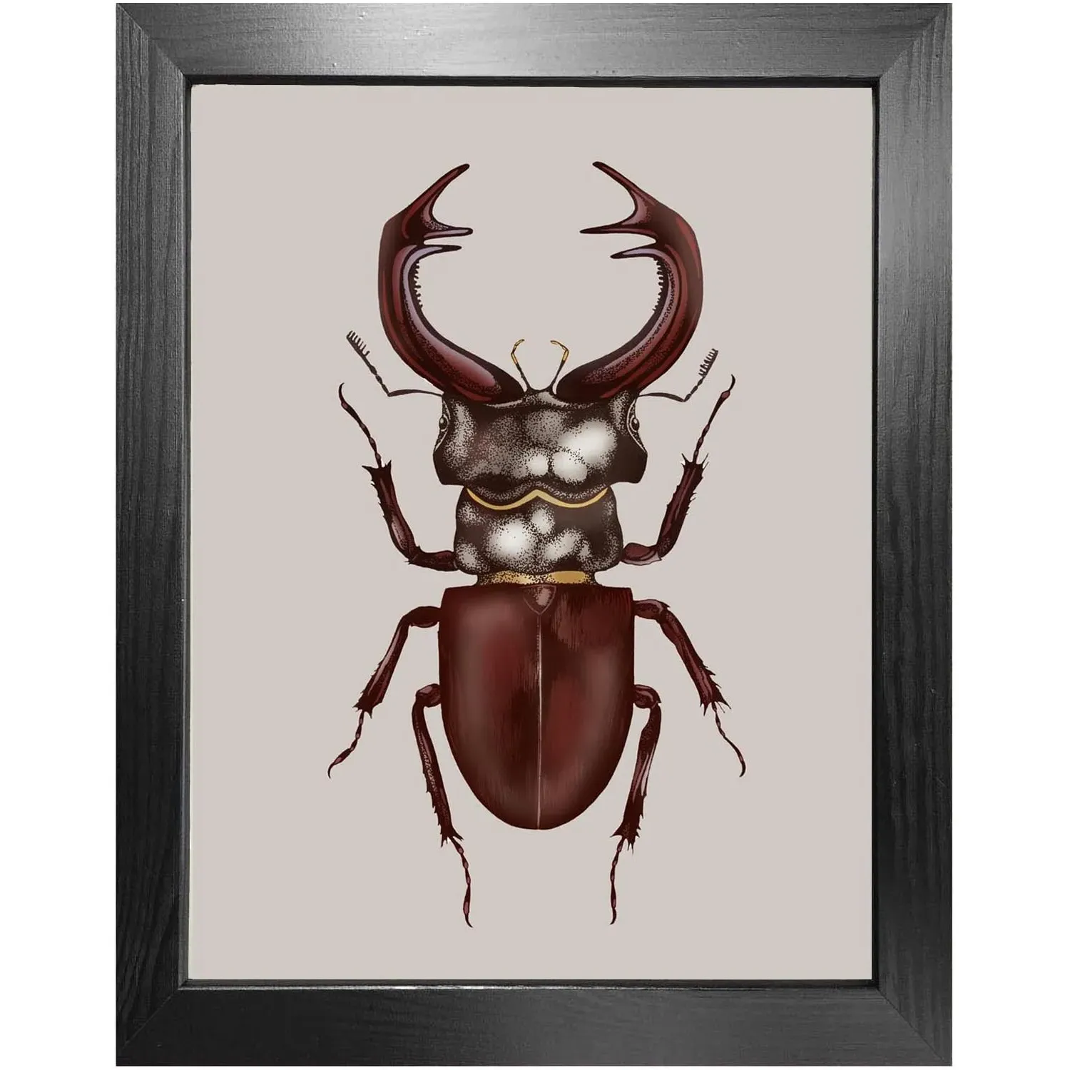 Antique Stag Beetle A3 Fine Art Print - Brown