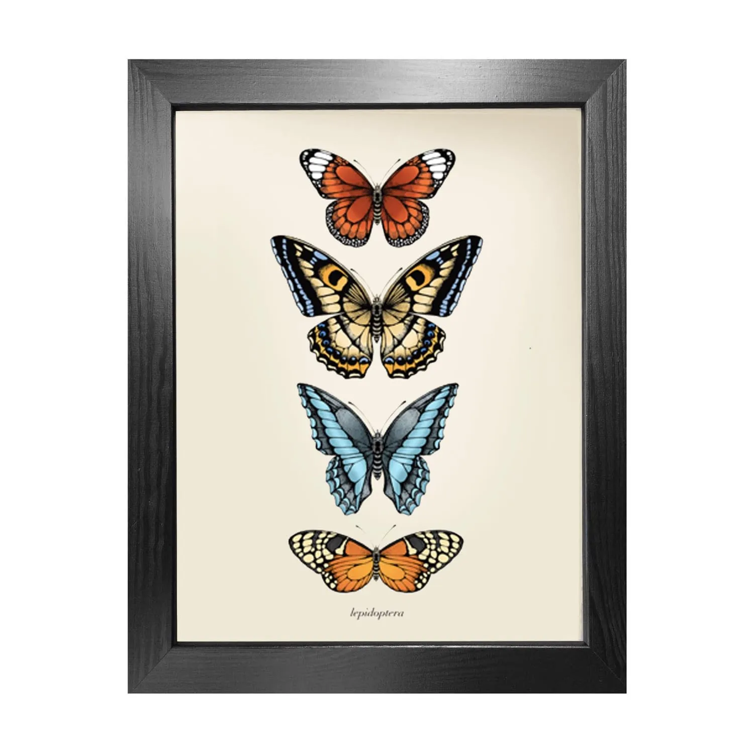 Antique Tropical Butterflies III A3 Fine Art Print - White