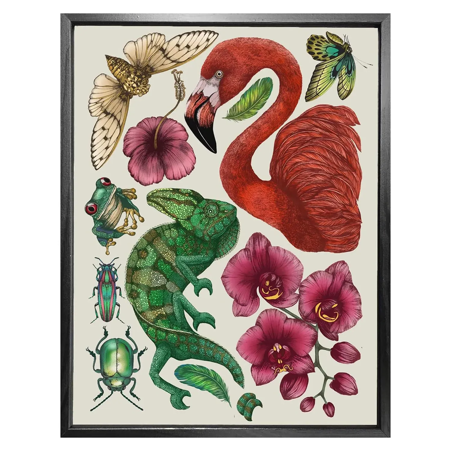 Antique Tropical Flora & Fauna A4 Fine Art Print - Cream