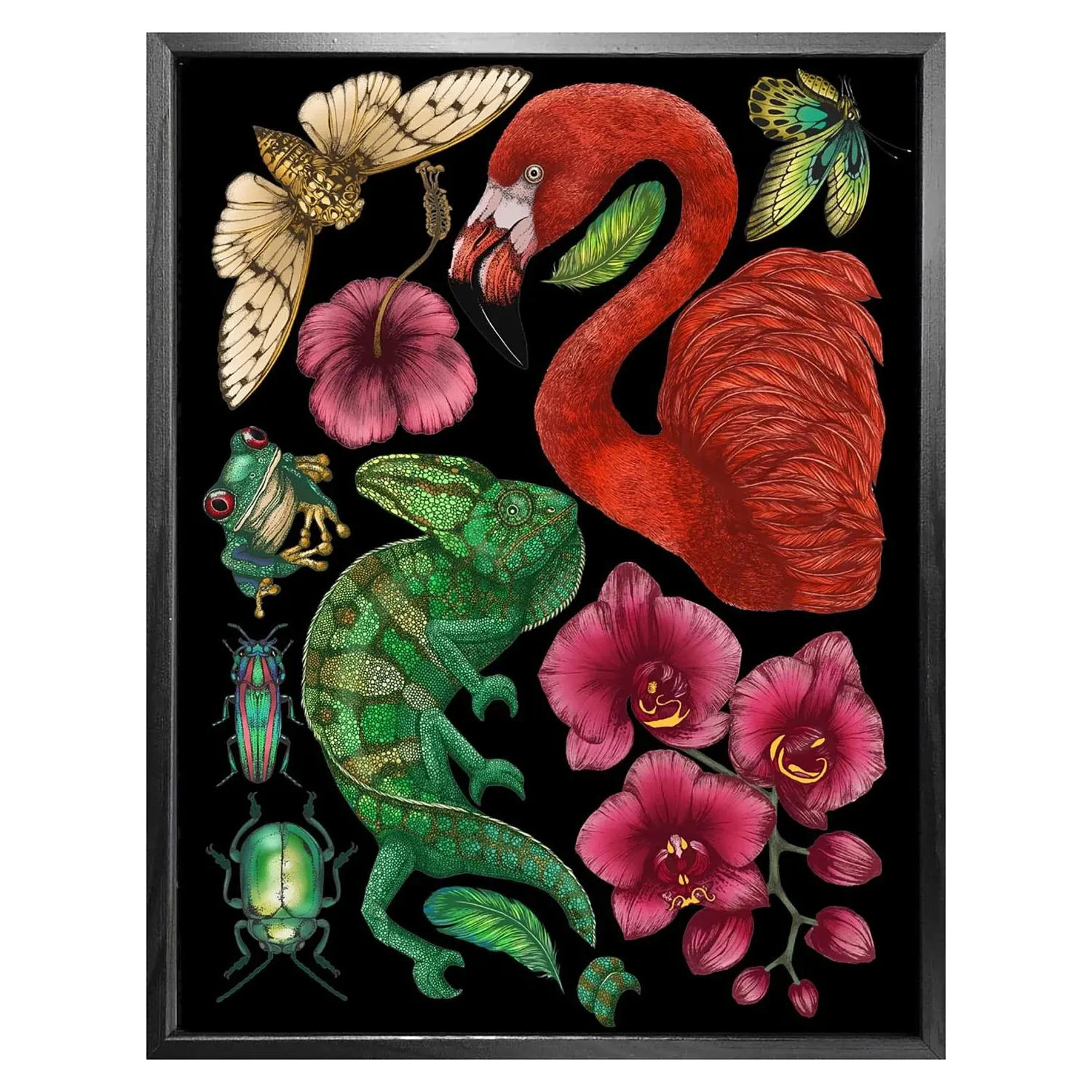 Antique Tropical Flora & Fauna A5 Fine Art Print - Black image