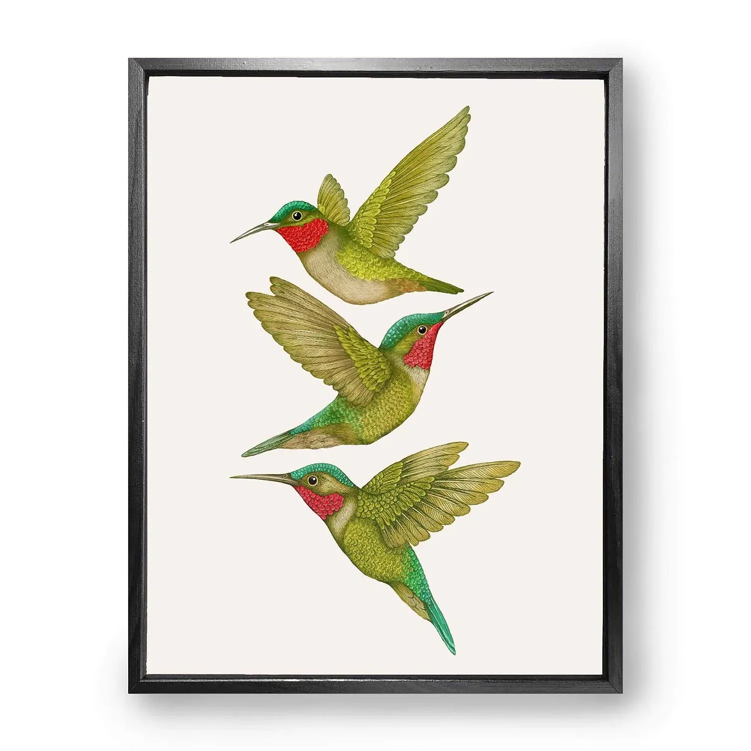 Antique Tropical Hummingbirds Fine Art Print S - Cream image