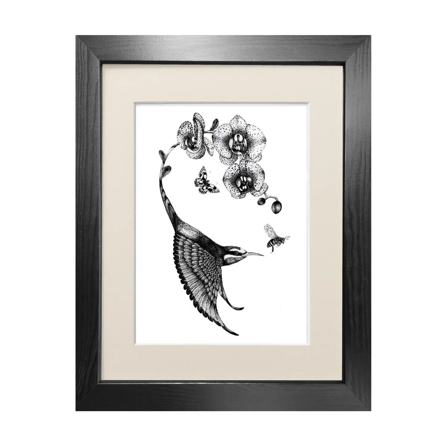 Apiaster Orchidae A4 Fine Art Print - Black