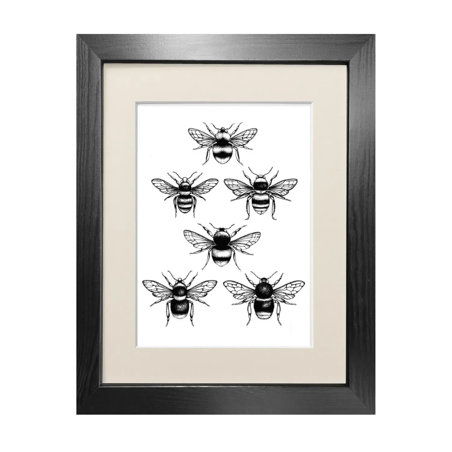 British Bees Fine Art Print A3 - Black
