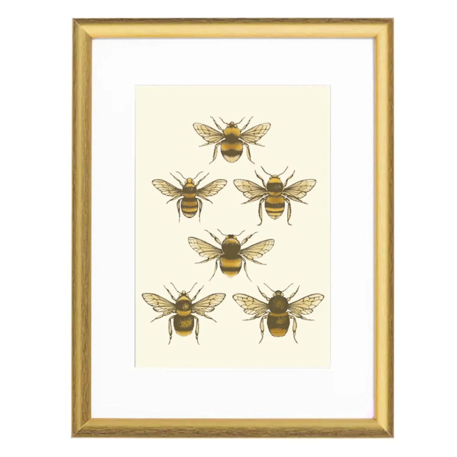 British Bees Fine Art Print A3 - Gold