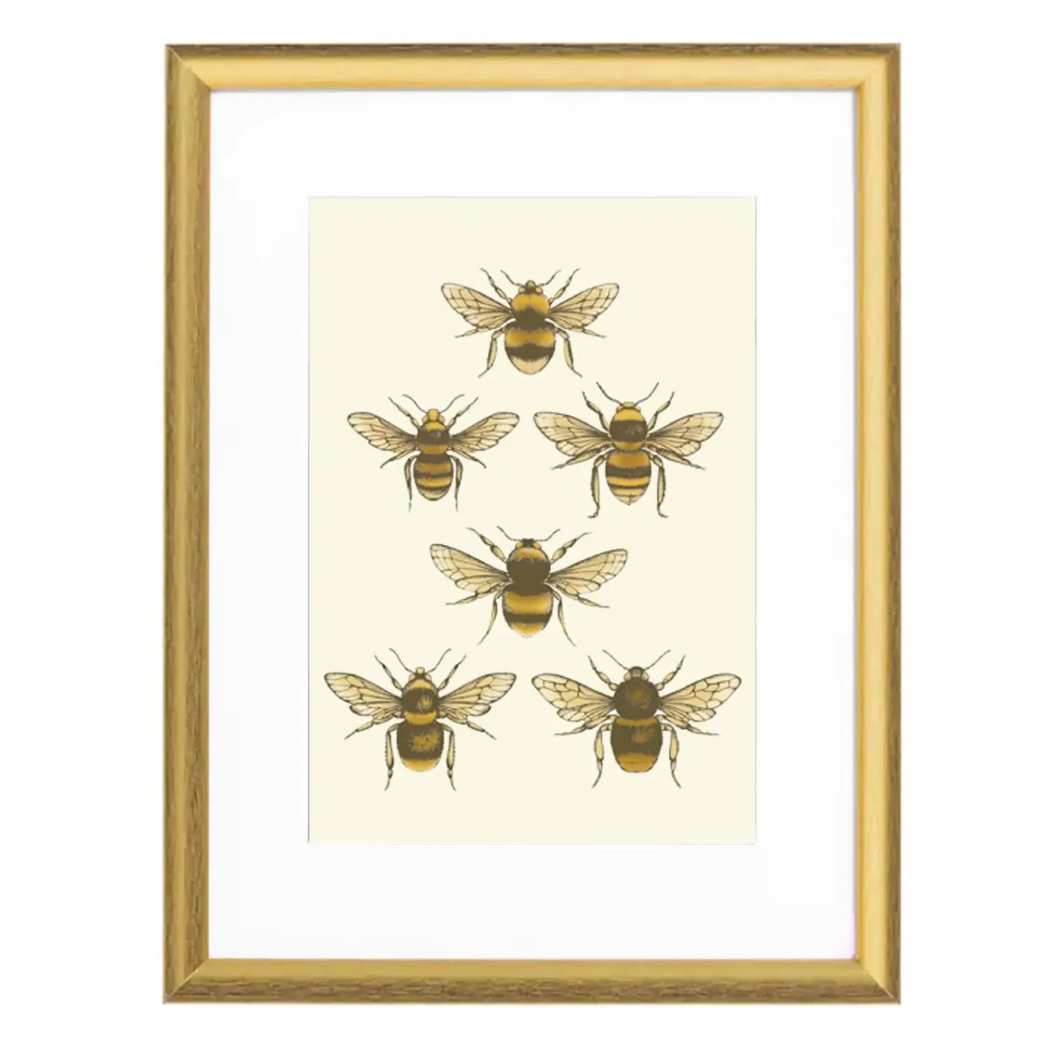 British Bees Fine Art Print A4 - Gold