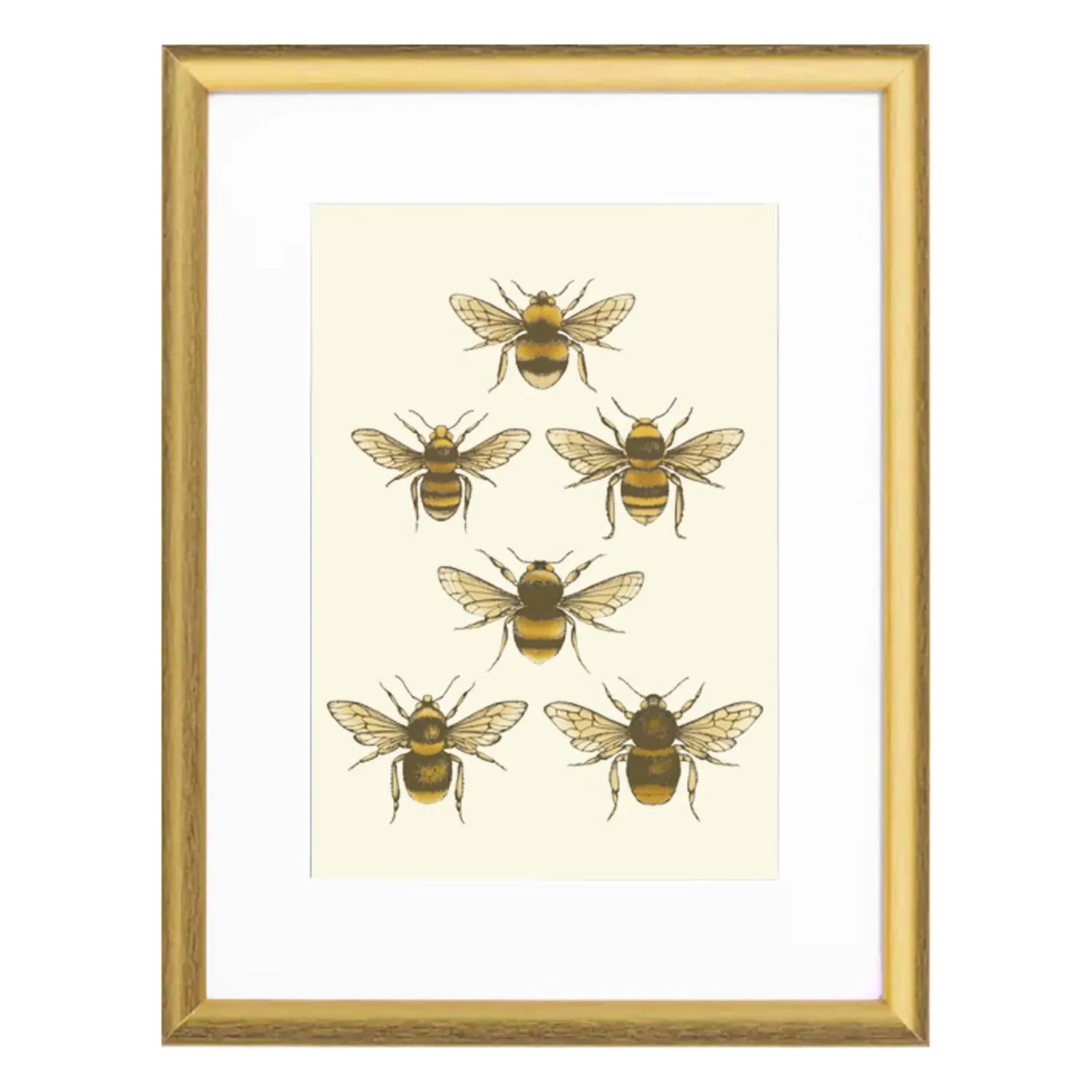 British Bees Fine Art Print A5 - Gold