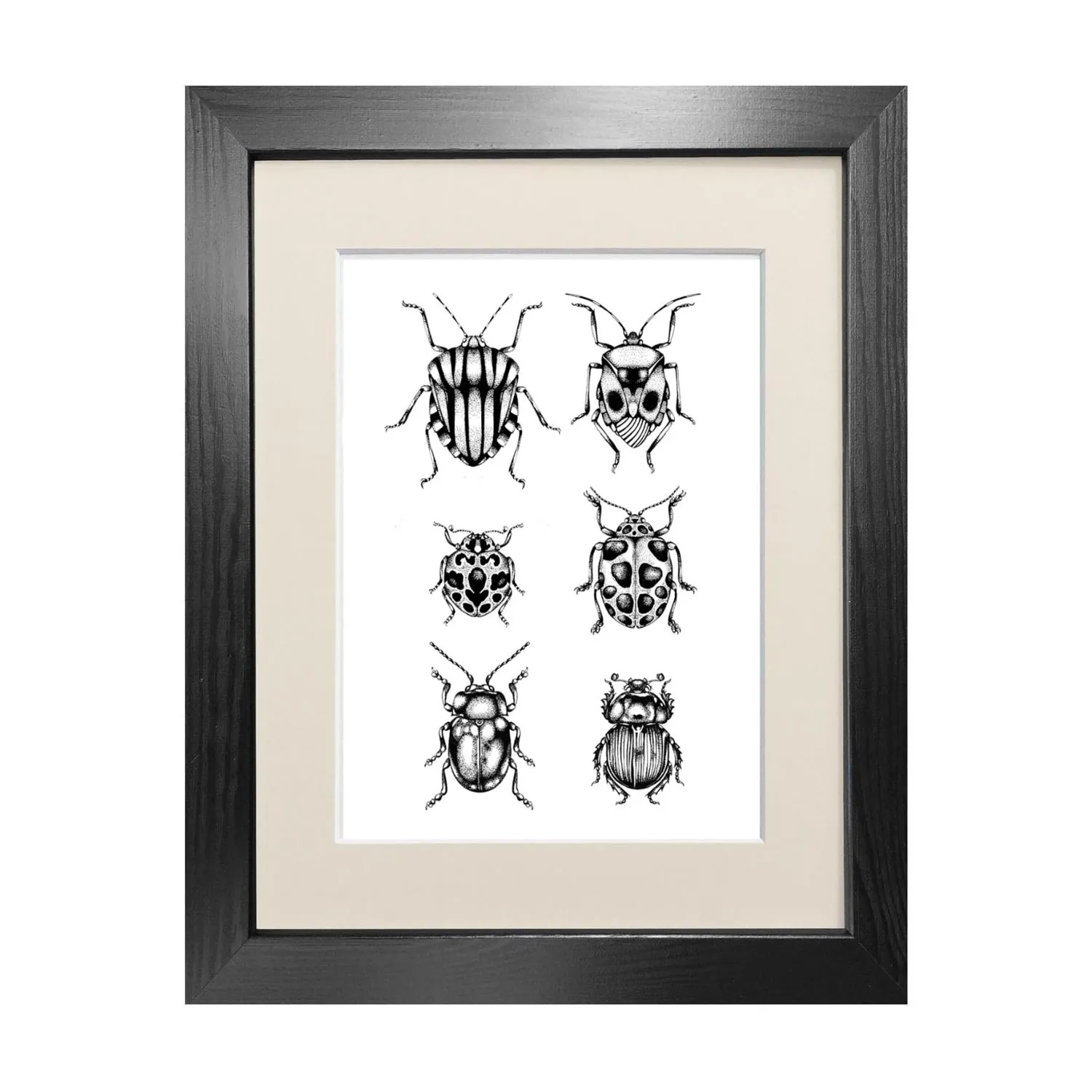 British Beetles A3 Fine Art Print - Black