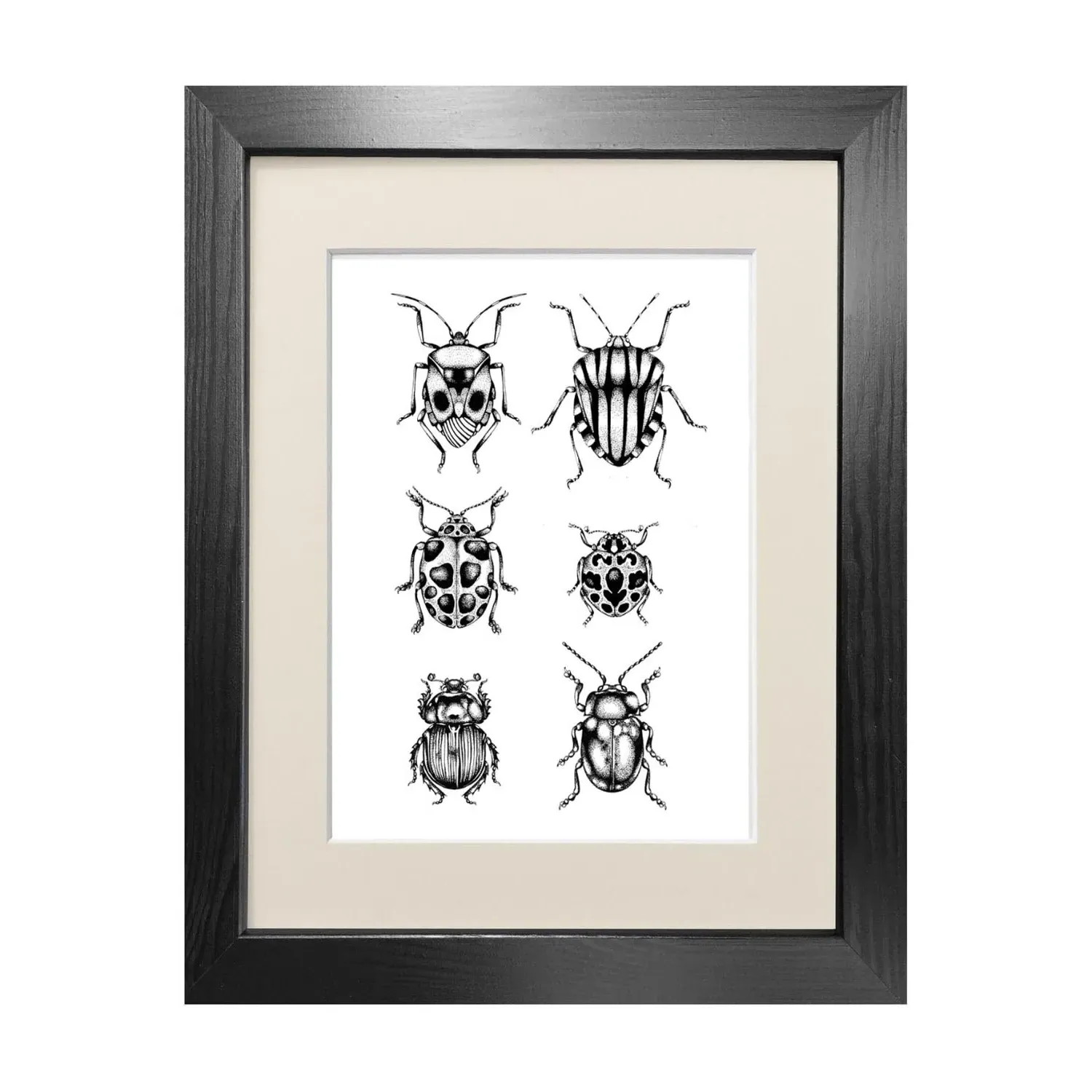 British Beetles A4 Fine Art Print - Black