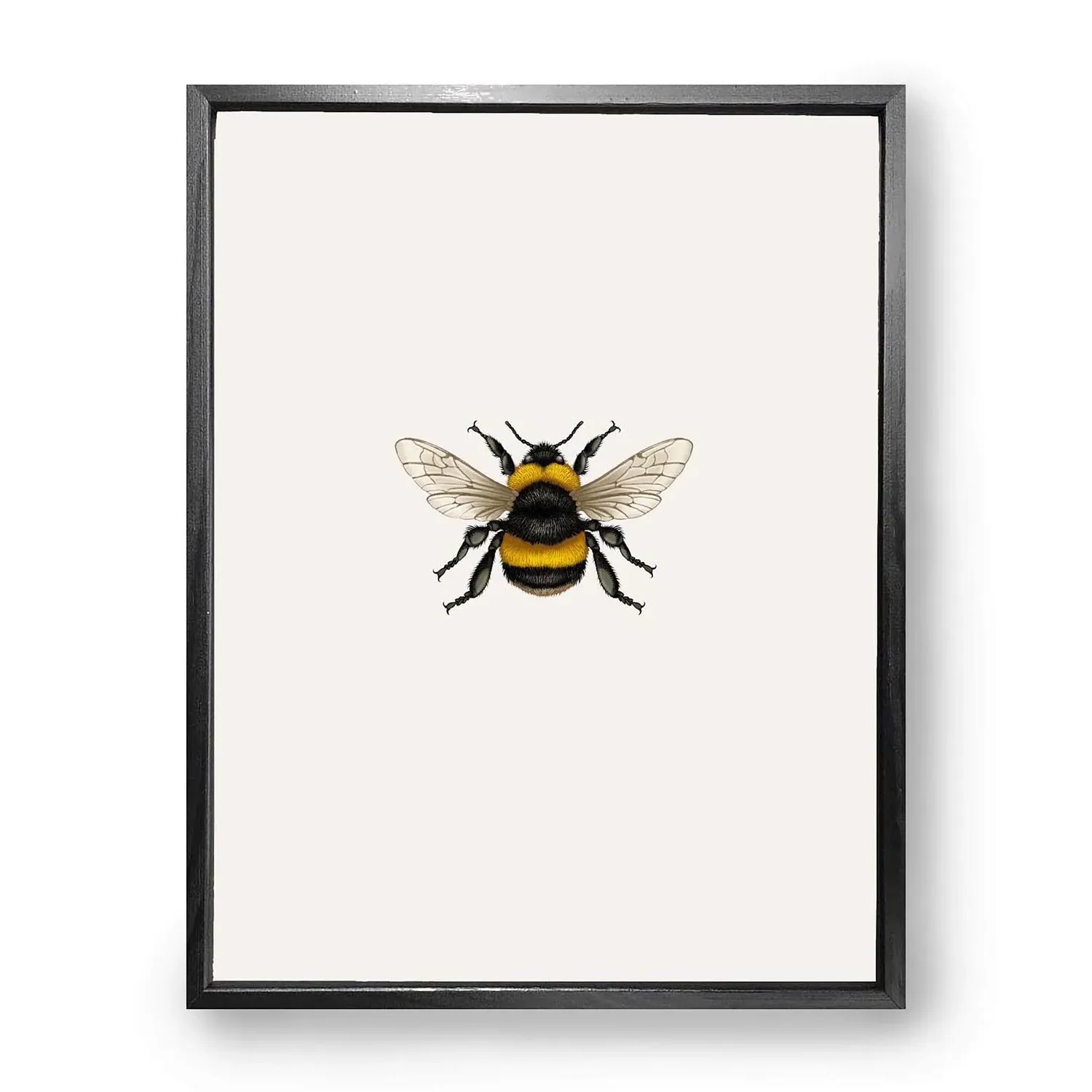 British Bumble Bee Fine Art Print M - Gold