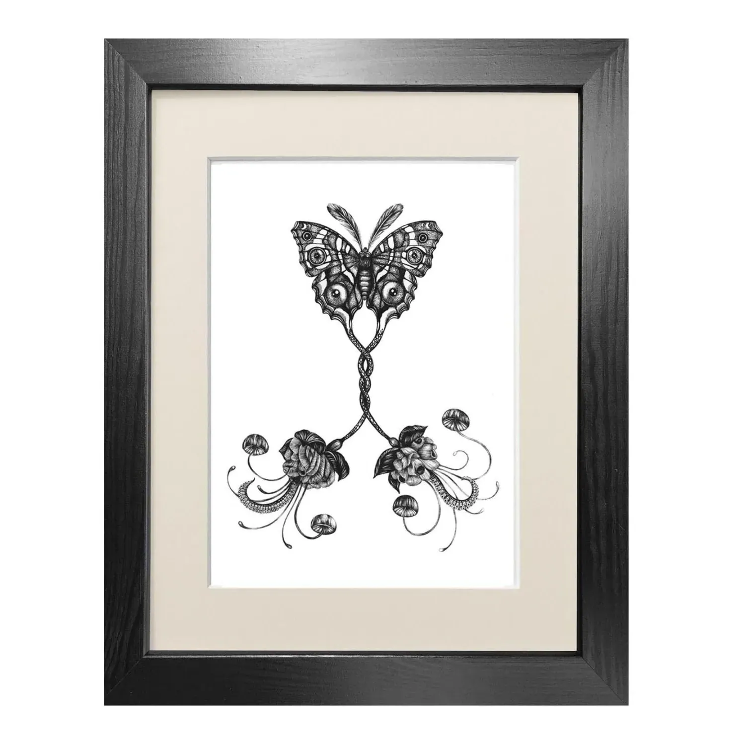 Coenia Oculus A3 Fine Art Print - Black