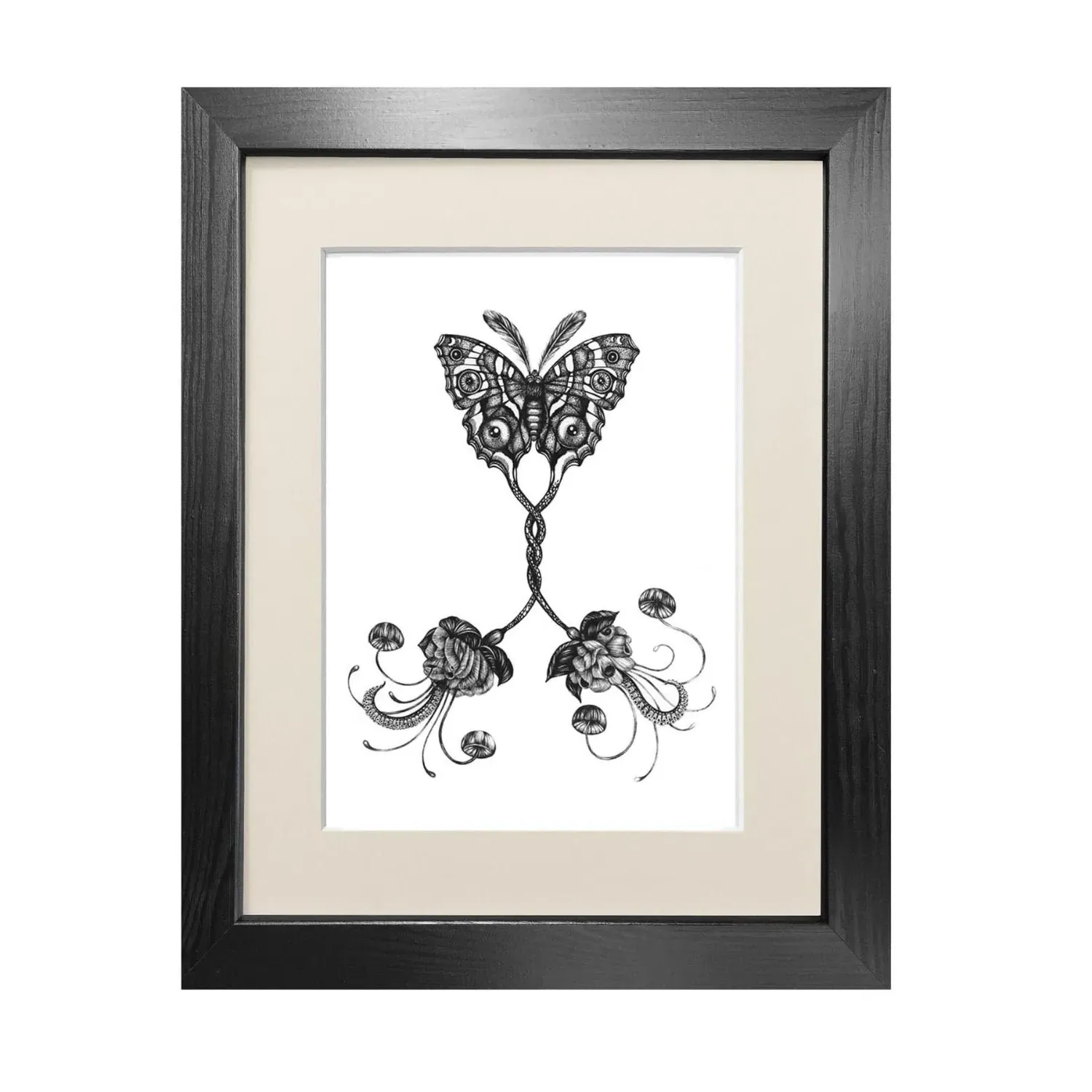 Coenia Oculus A4 Fine Art Print - Black