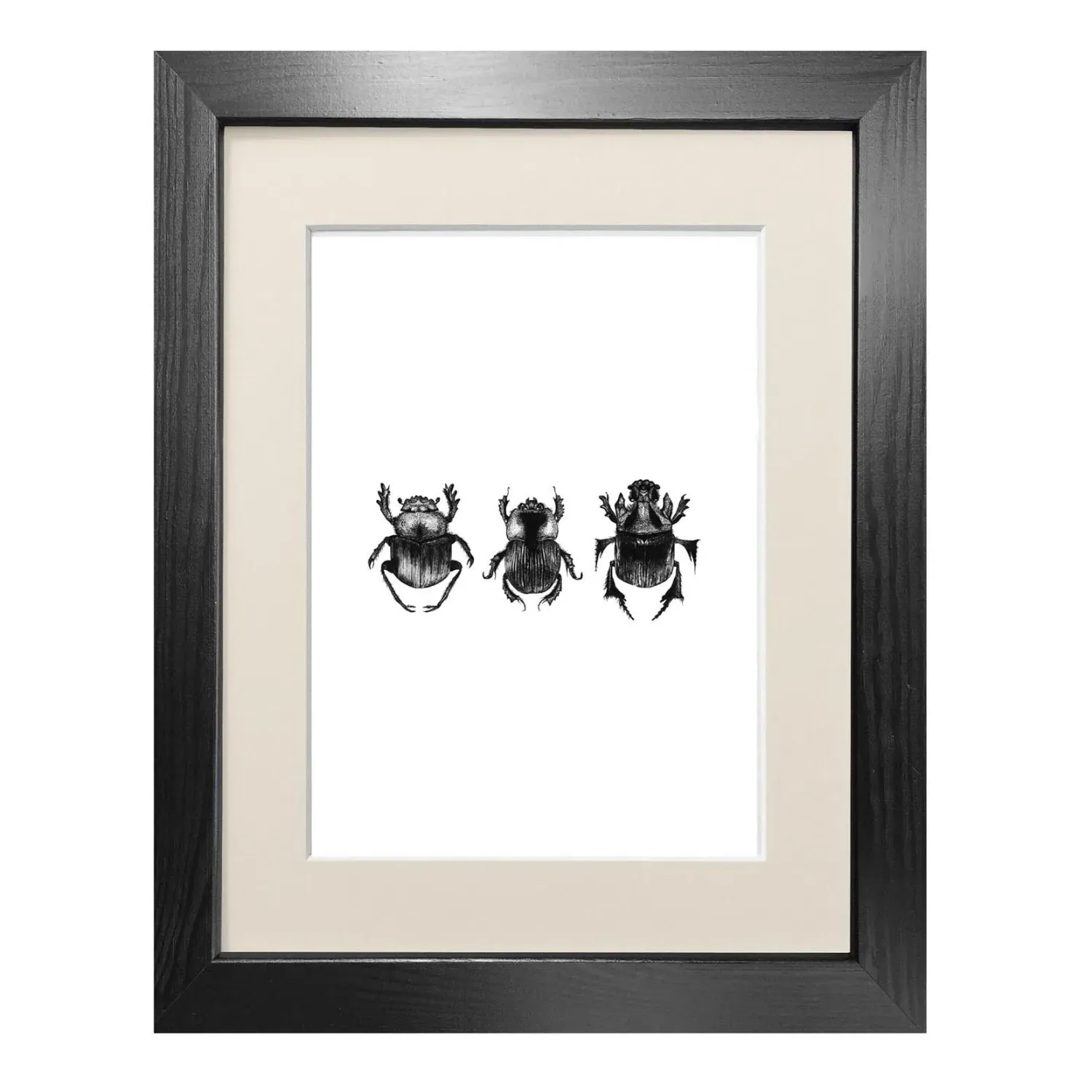 Dung Beetles A3 Fine Art Print - Black