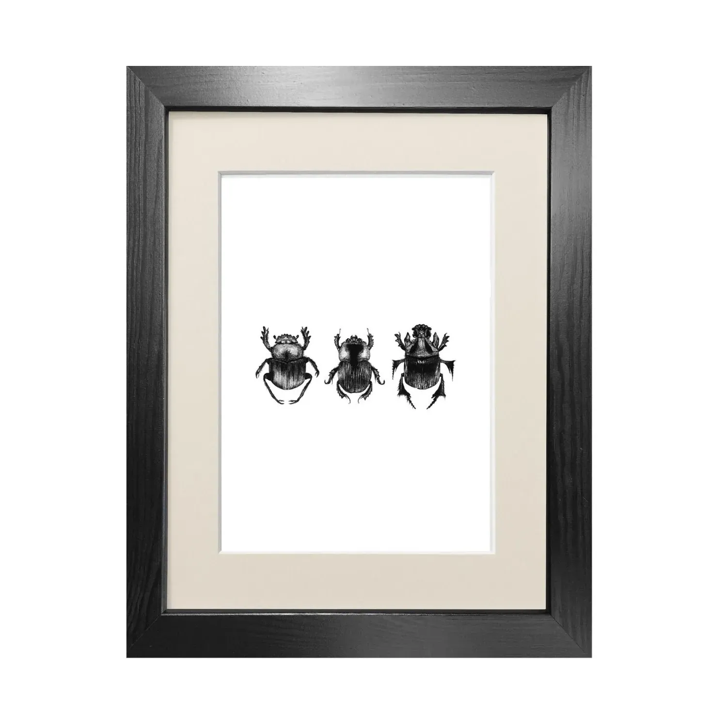 Dung Beetles A4 Fine Art Print