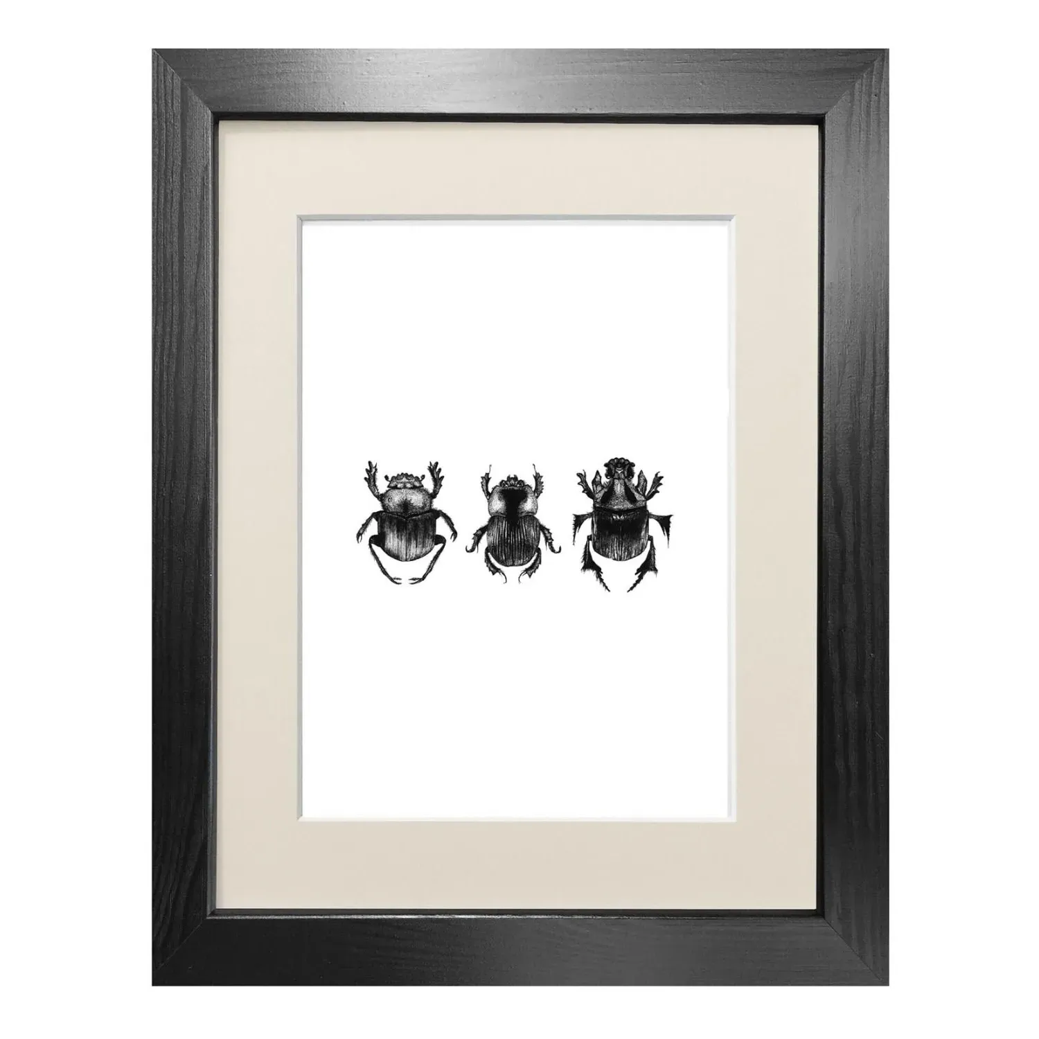 Dung Beetles A5 Fine Art Print - Black image