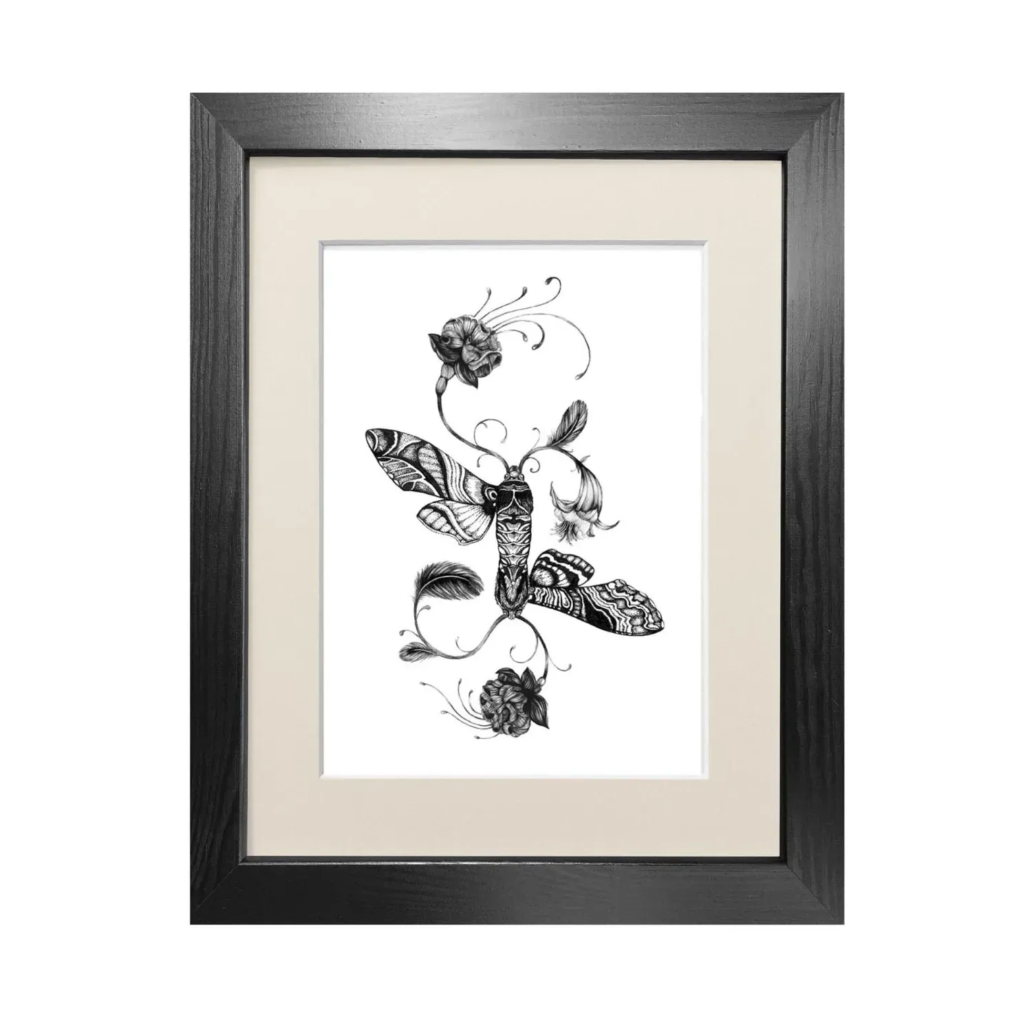 Fuchsiadoptera A3 Art Print - Black