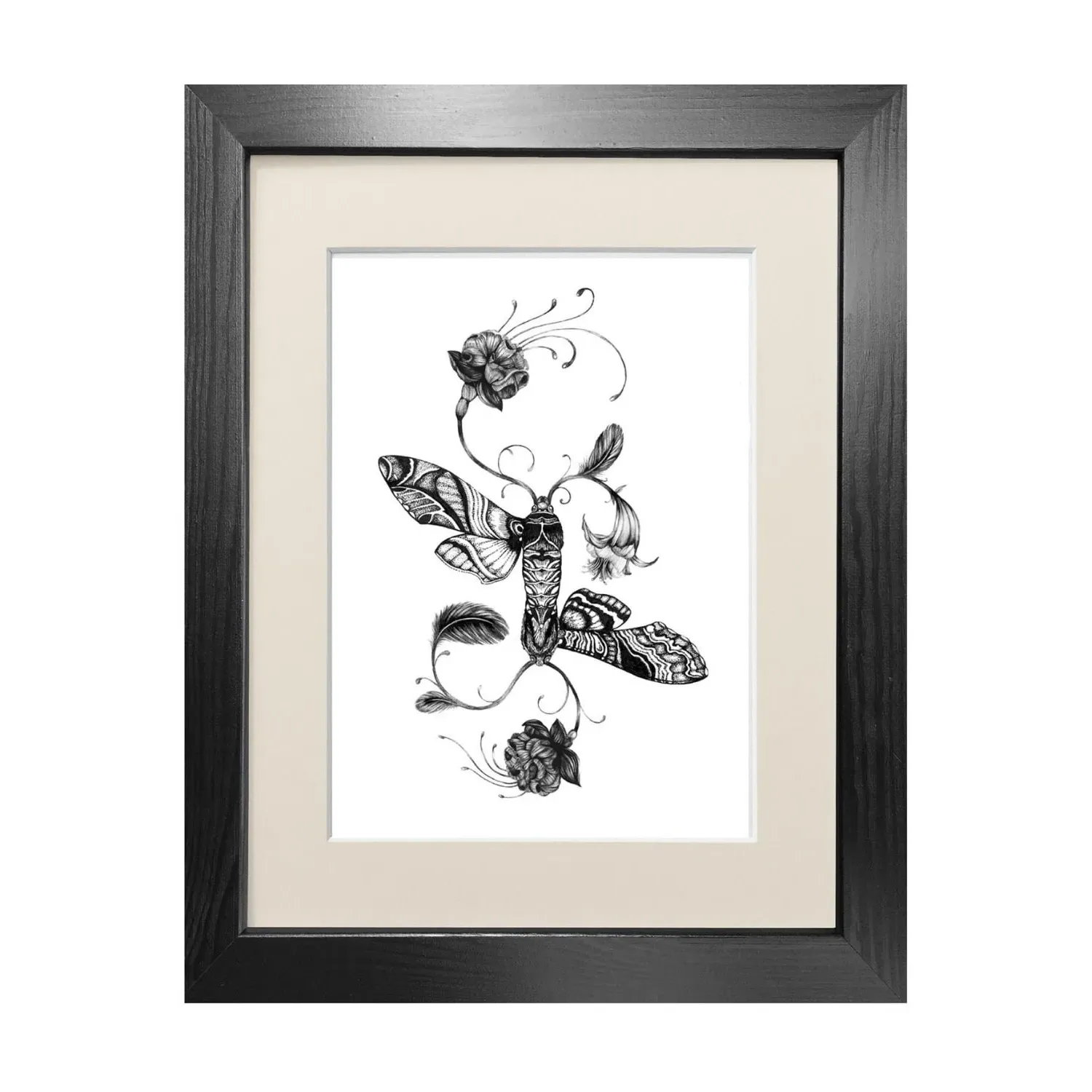 Fuchsiadoptera A4 Art Print - Black