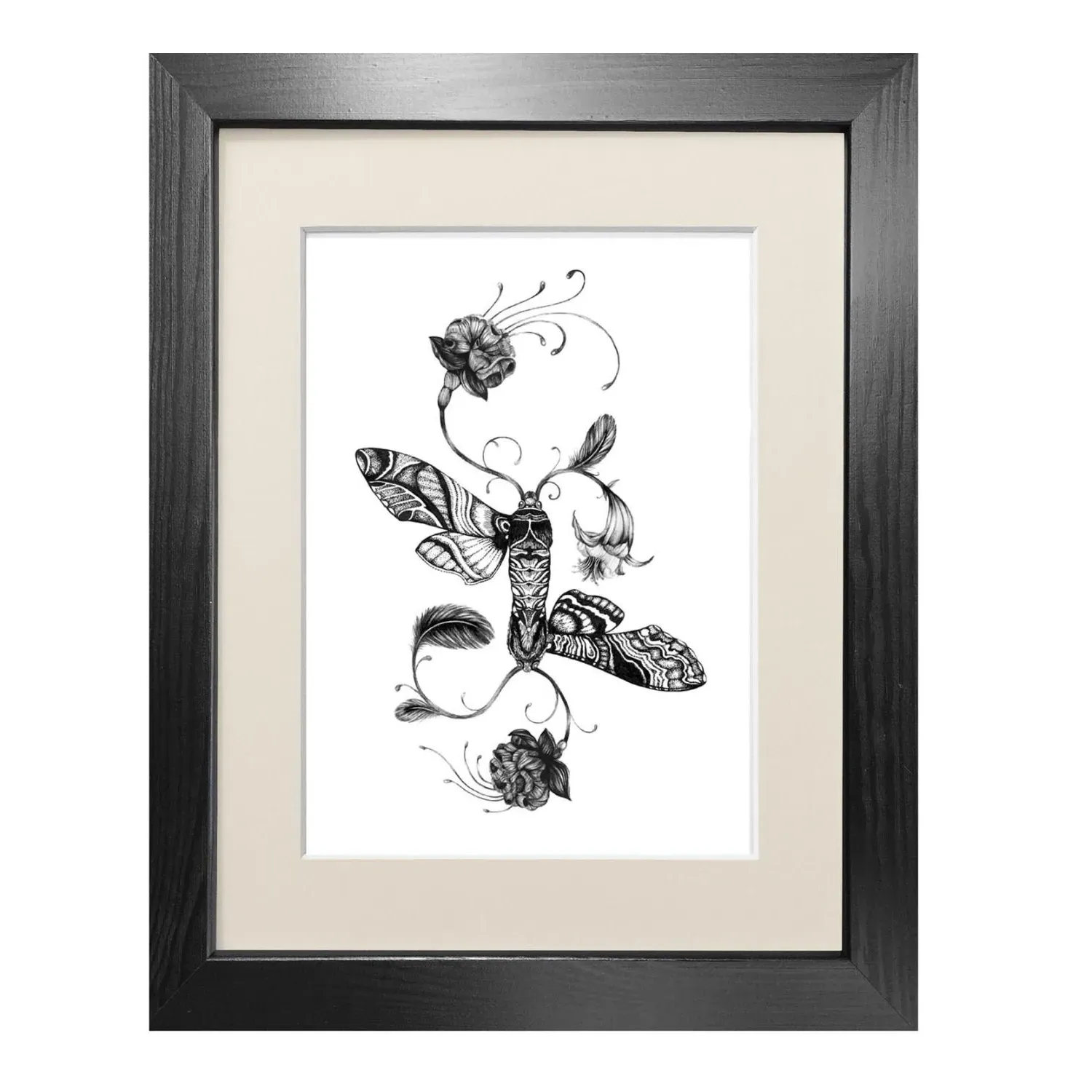 Fuchsiadoptera A5 Art Print - Black image