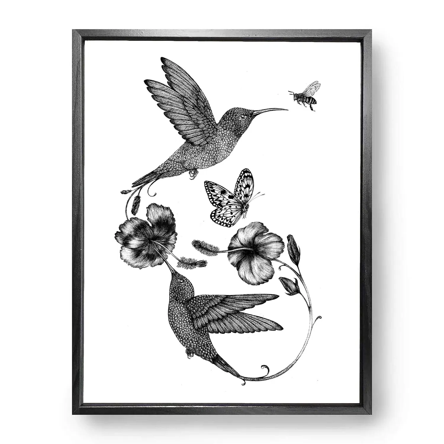 Hummingbird & Hibiscus Fine Art Print - Black image