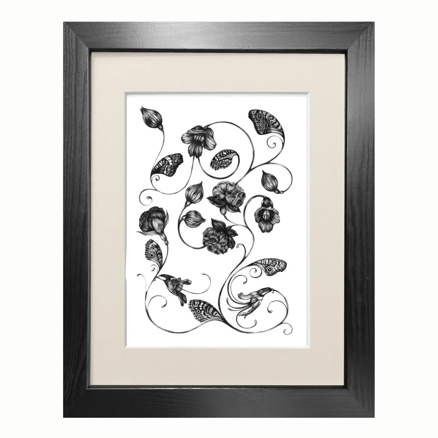 Magellanicadoptera A4 Fine Art Print - Black