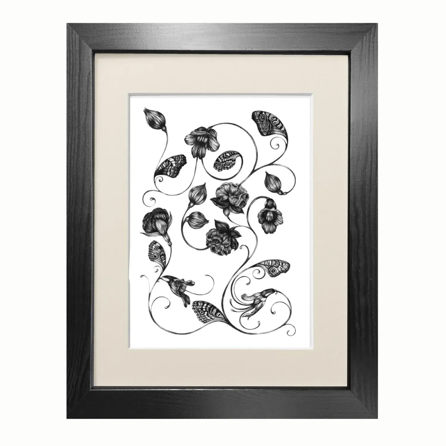 Magellanicadoptera A5 Fine Art Print - Black image