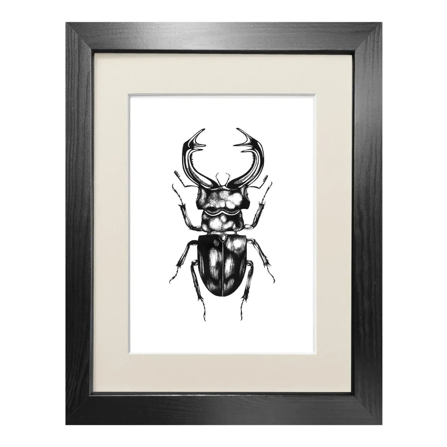 The Stag Beetle A5 Fine Art Print - Black image