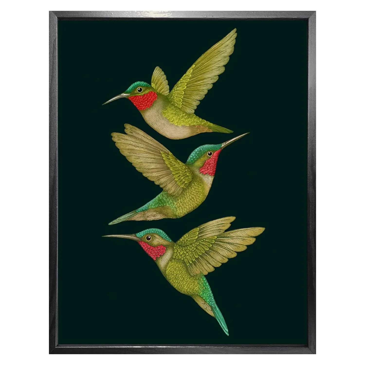 Tropical Hummingbirds Fine Art Print M - Charcoal