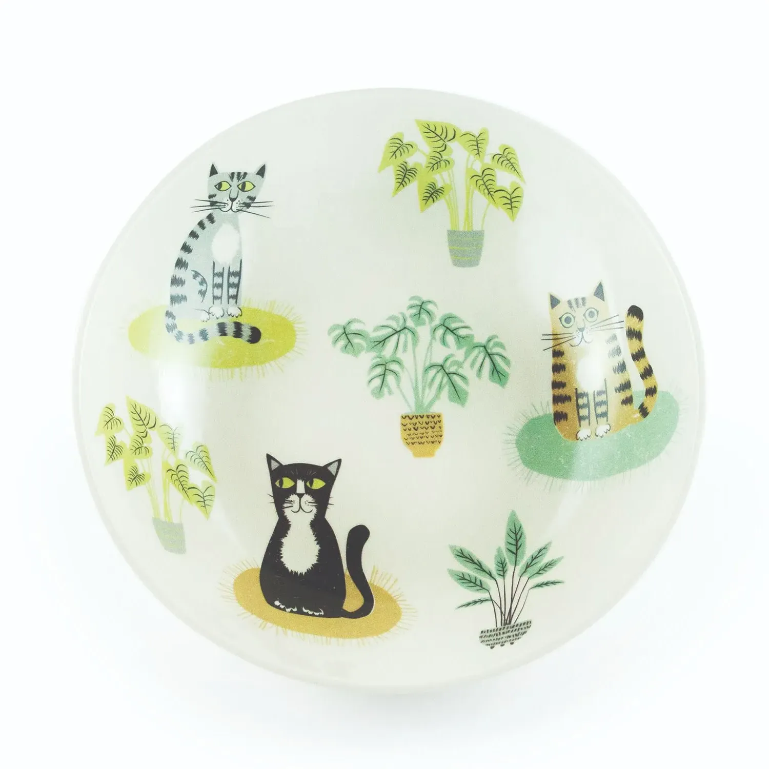 Cat Pasta Bowl - Green/Orange, Stoneware image