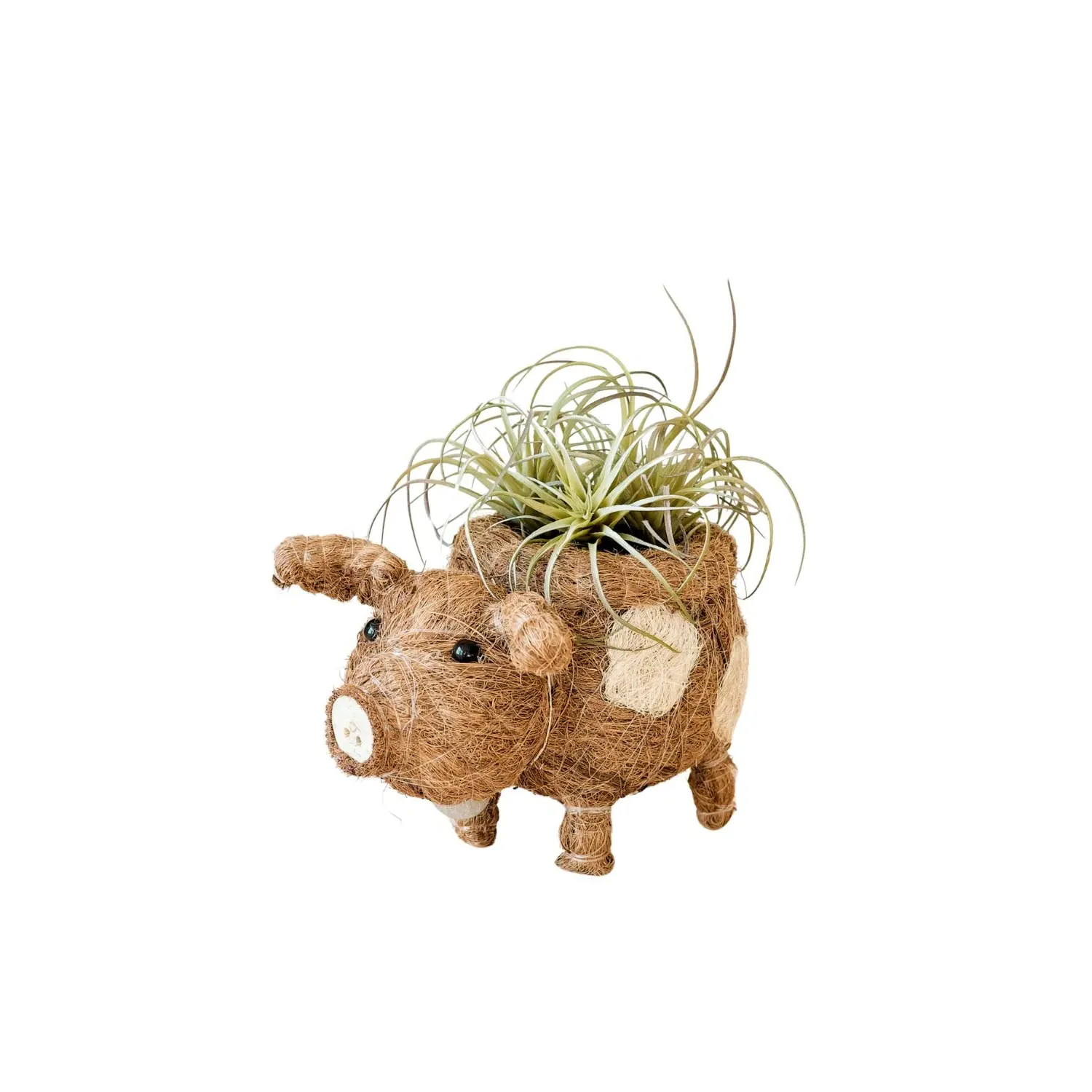 Baby Country Pig Animal Planter - Brown, Coco Coir image