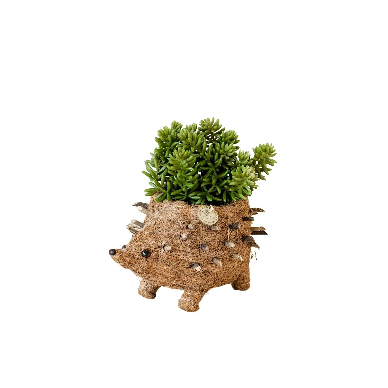 Baby Hedgehog Coco Coir Planter - Brown image