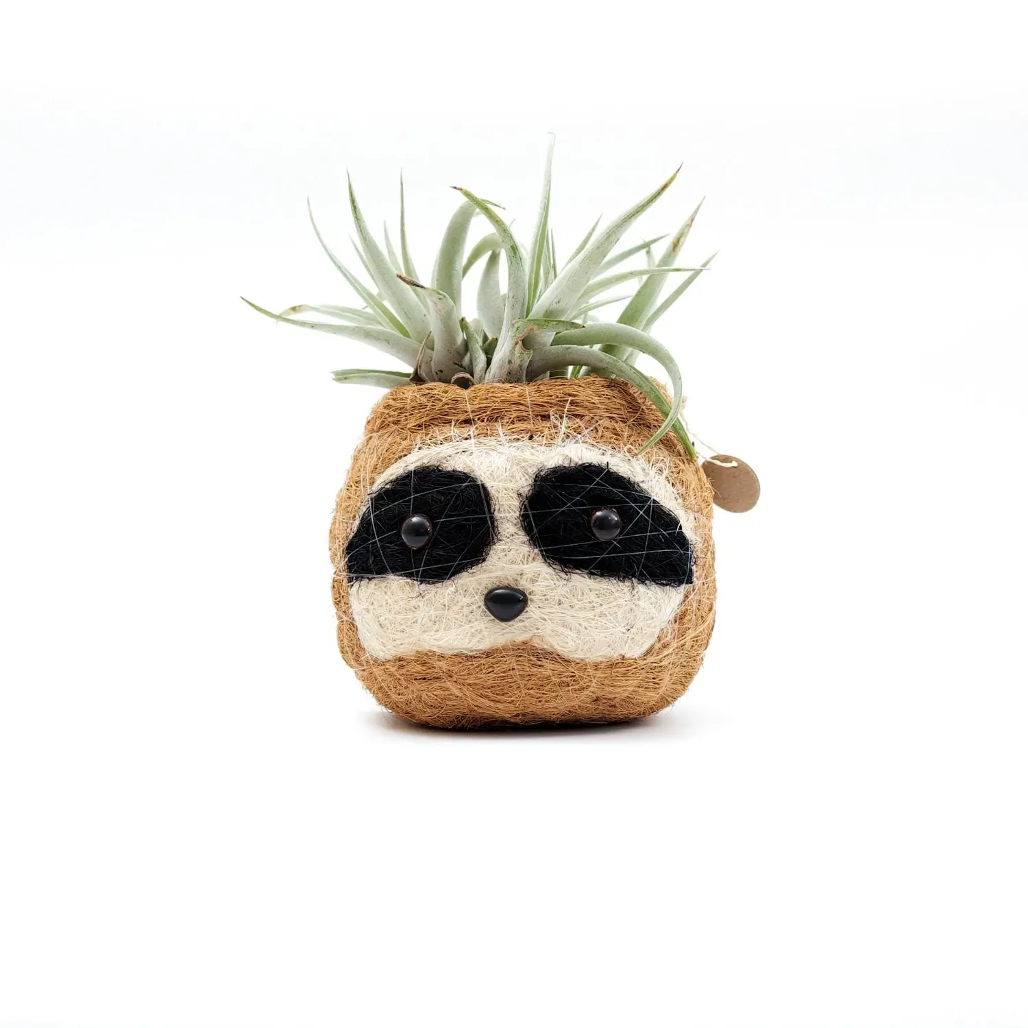 Coco Coir Animal Planter Mini Pot 3-Tone Sloth - Brown image