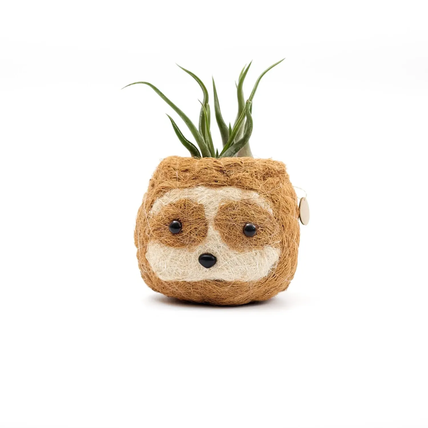 Coco Coir Animal Planter Mini Pot Sloth Light