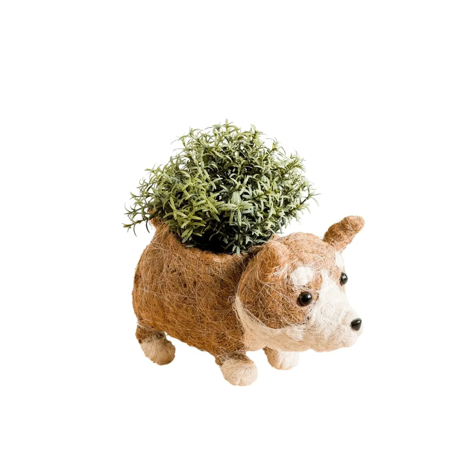 Coco Coir Corgi Planter - Brown