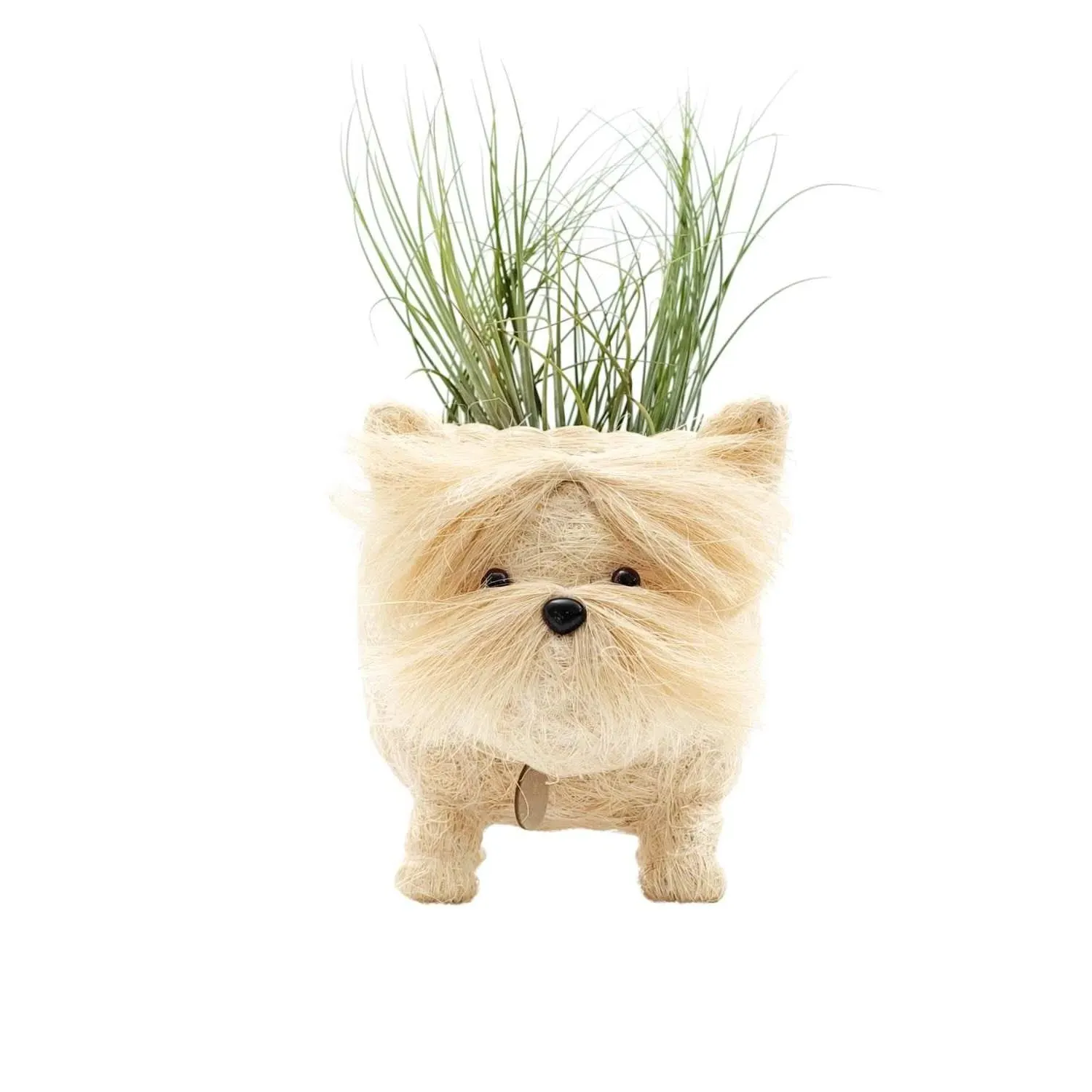 Coco Coir Westie Planter - White