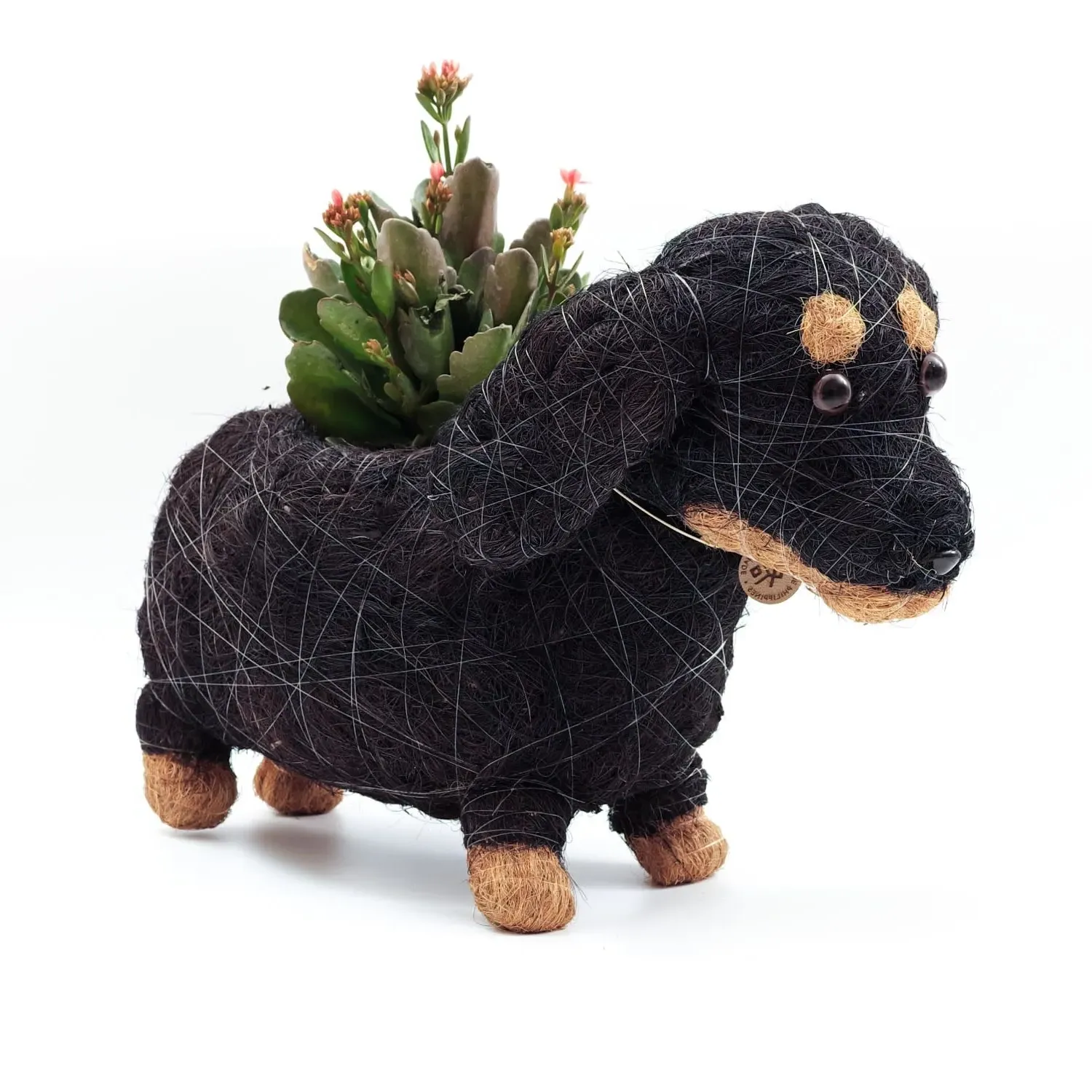 Dachshund Animal Planter - Black, Coco Coir image