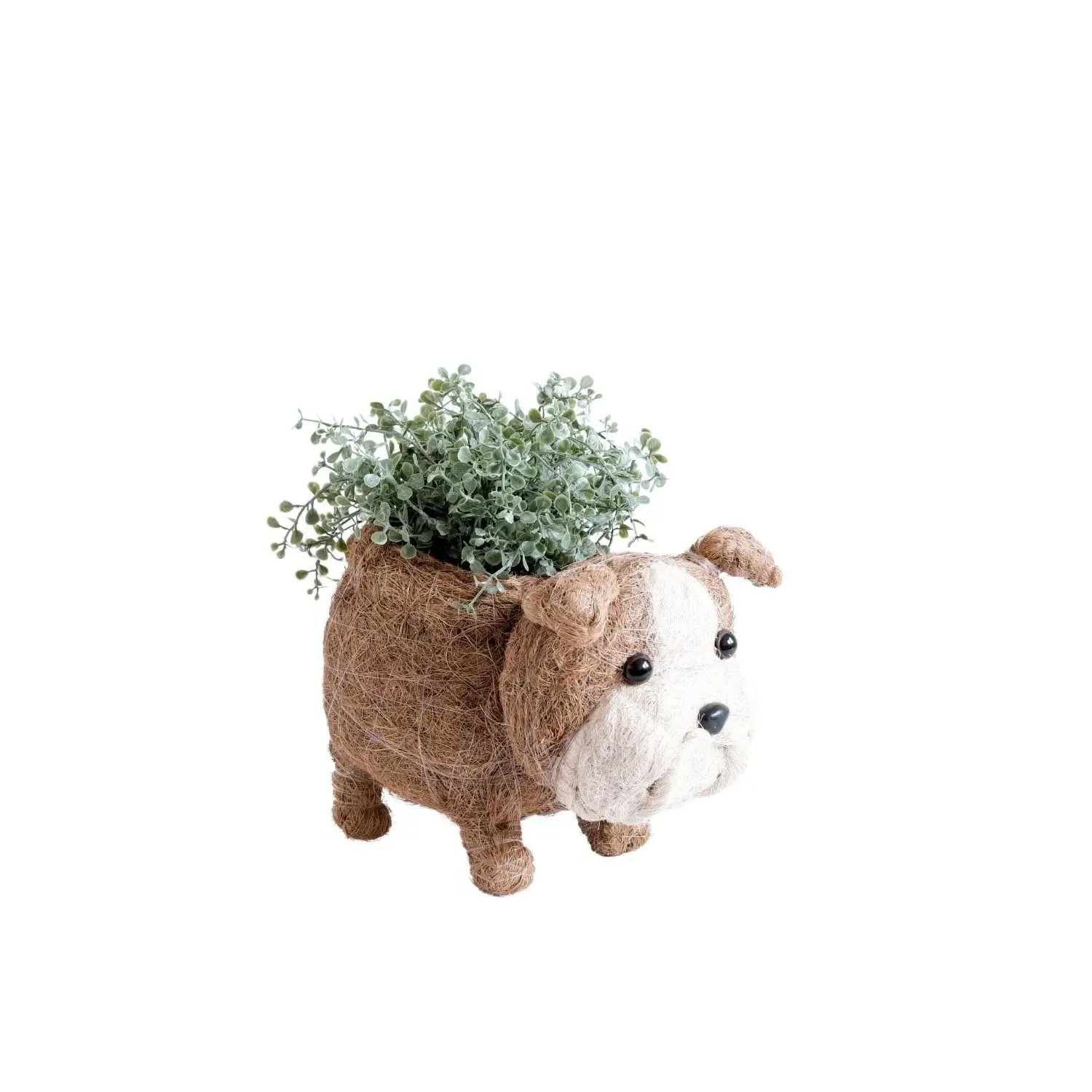 English Bulldog Planter - Brown, Coco Coir image