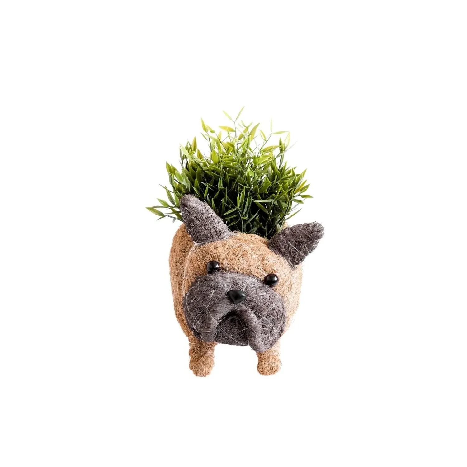 French Bulldog Planter - Brown, Coco Coir