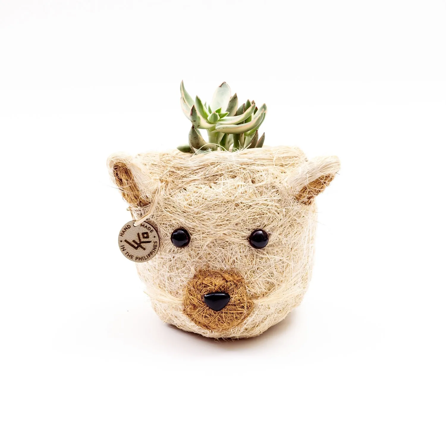 Neutrals Cat Head Mini Succulent Pot - Coco Coir image