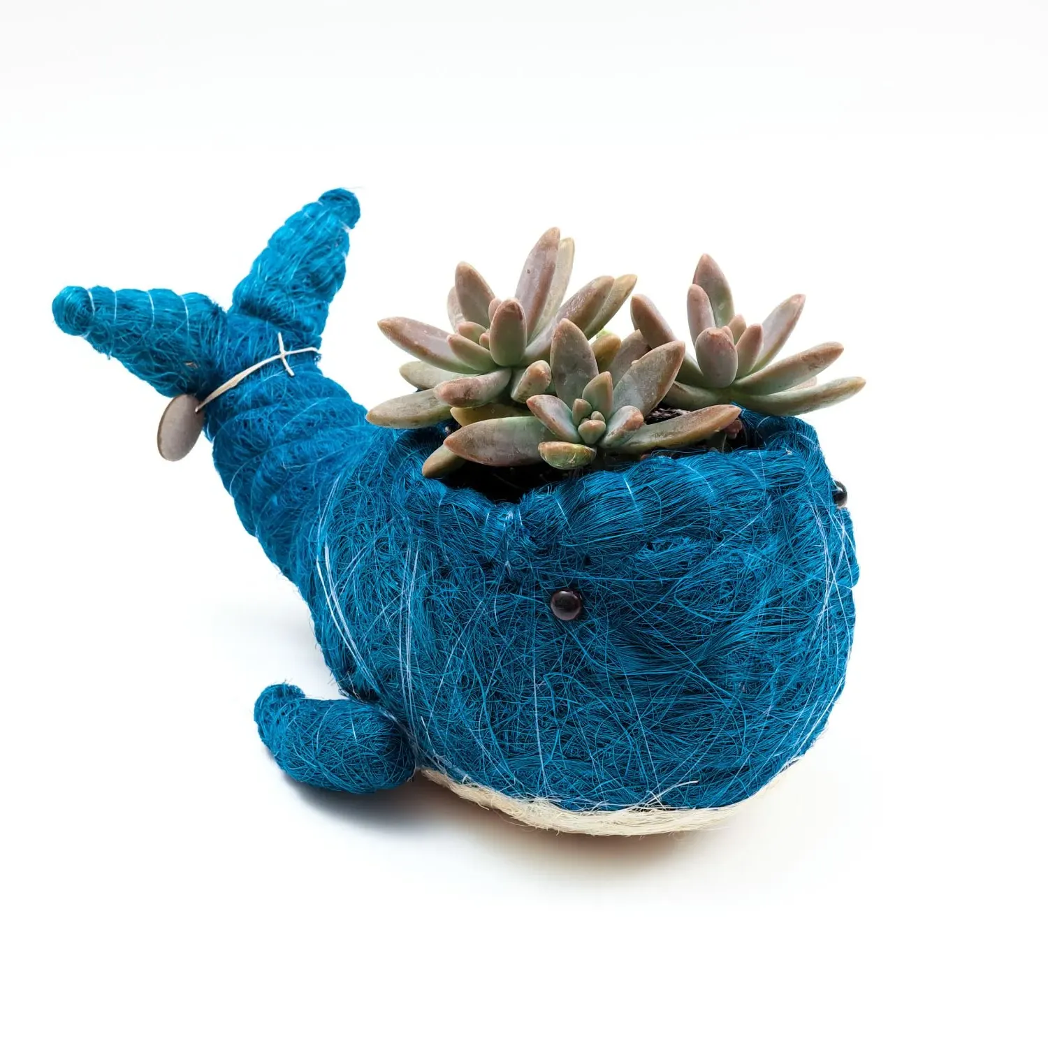 Whale Animal Planter - Blue, Coco Coir image