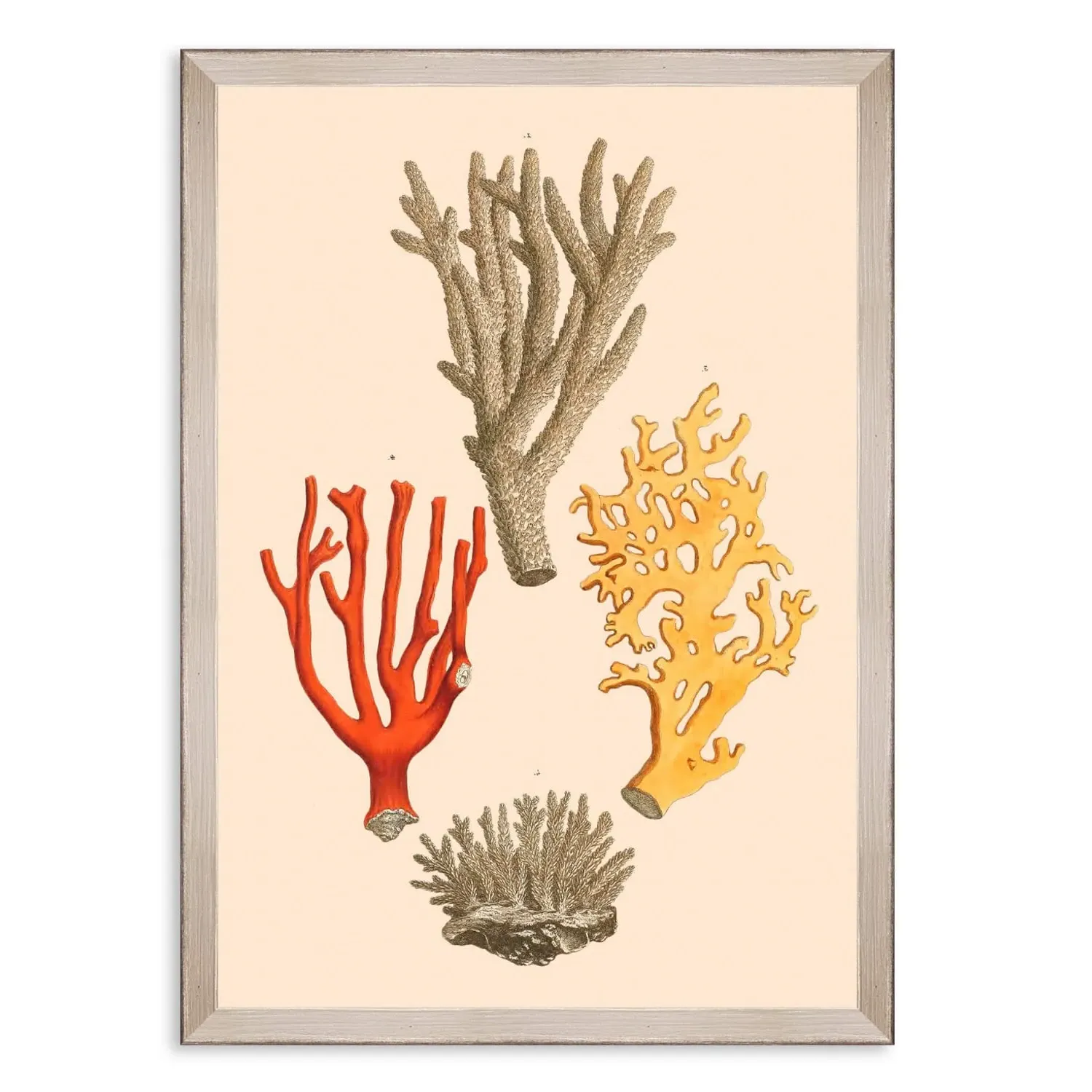 Deliciae Naturae Two Framed Art - Grey