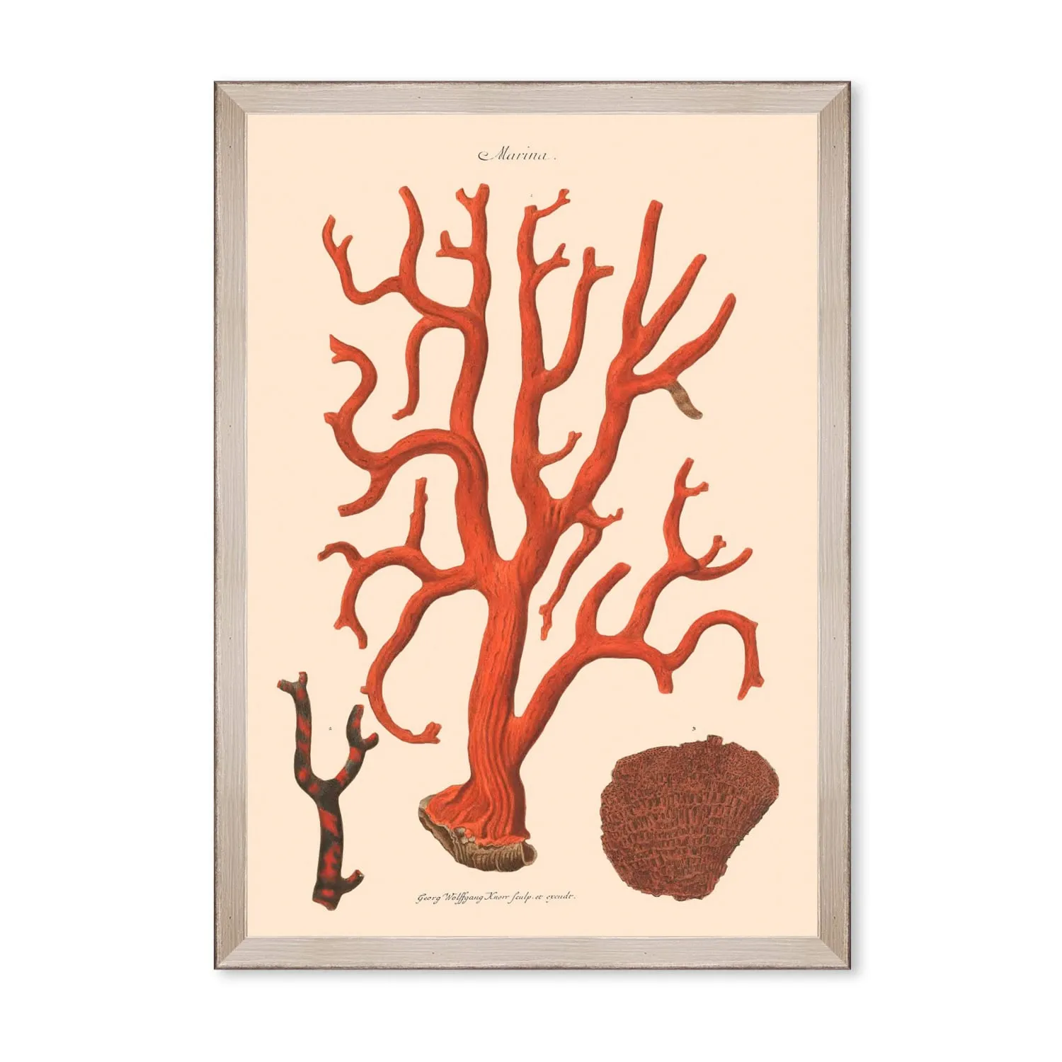 Neutrals Deliciae Naturale Nine Framed Art - Gray image