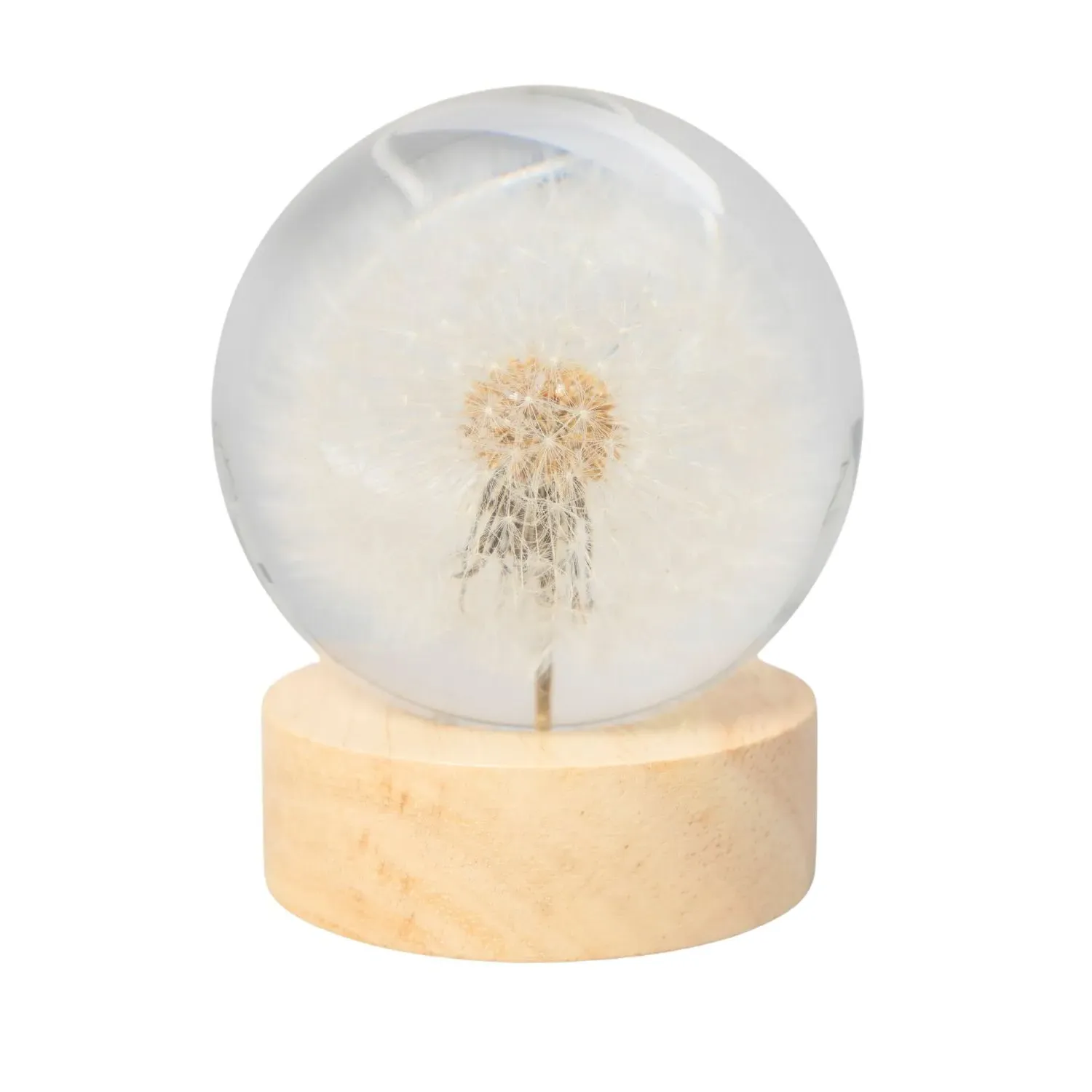 Dandelion Globe Ball Home Decoration - Yellow, Resin image